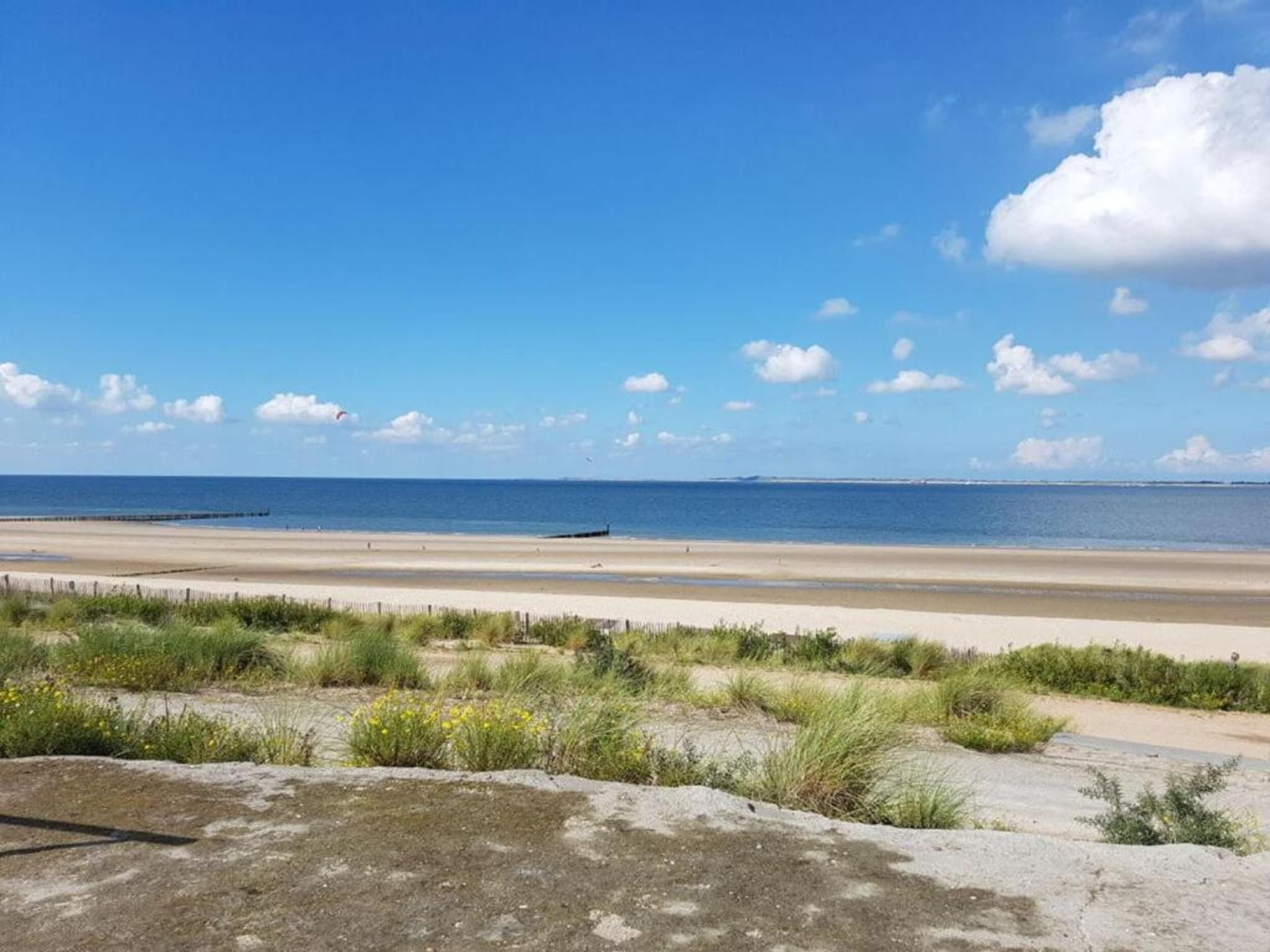 Het Platte Putje - Huisdier - nr 2 in Groede - Foto 27 van 36