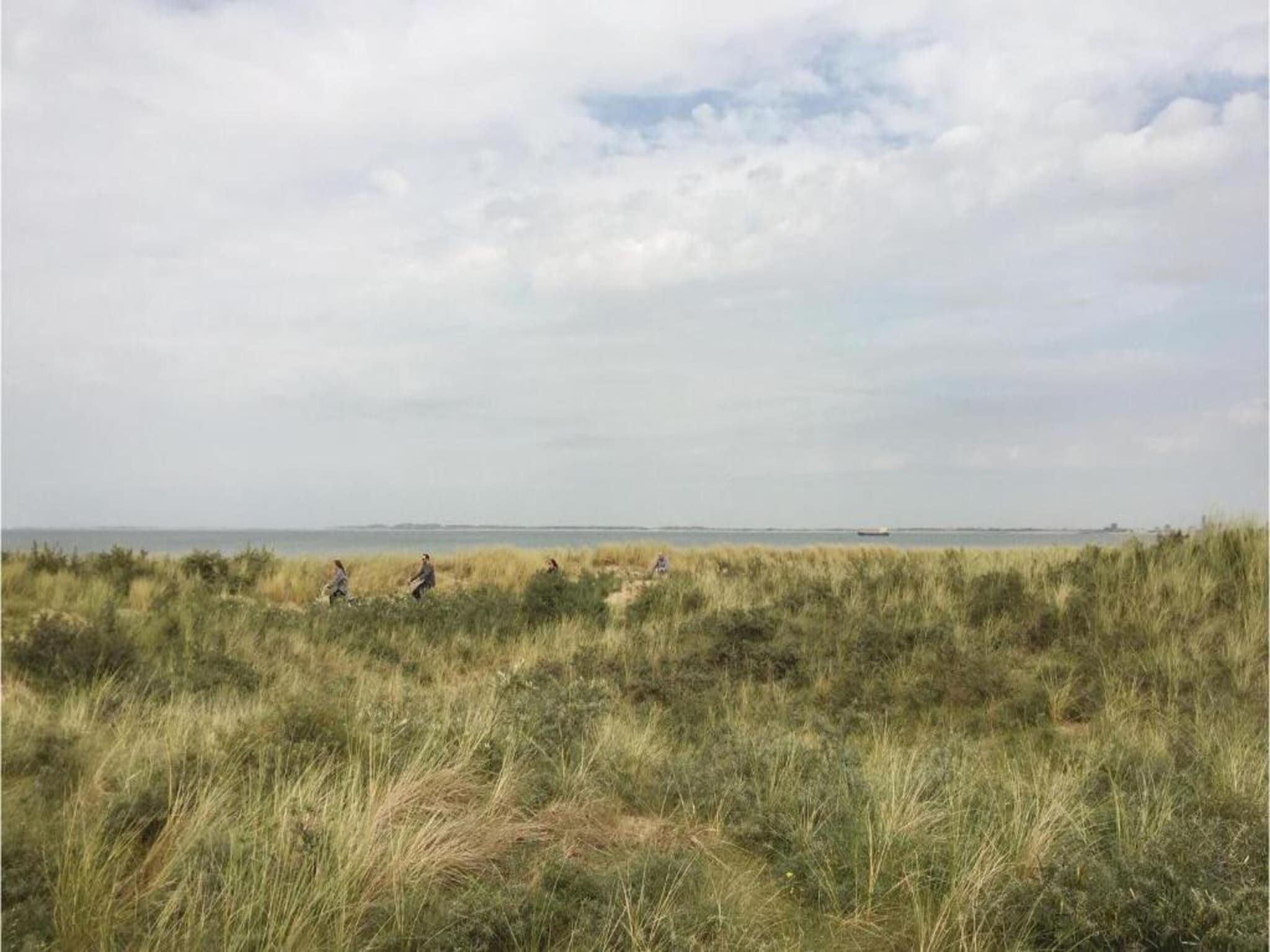 Het Platte Putje - Huisdier - nr 2 in Groede - Foto 29 van 36