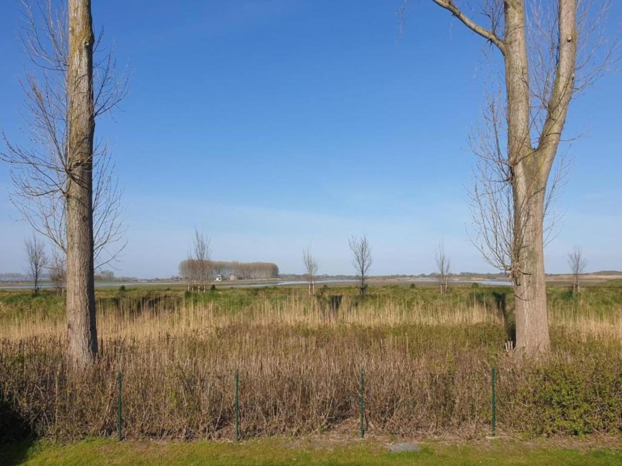 Het Platte Putje - Huisdier - nr 2 in Groede - Foto 15 van 36