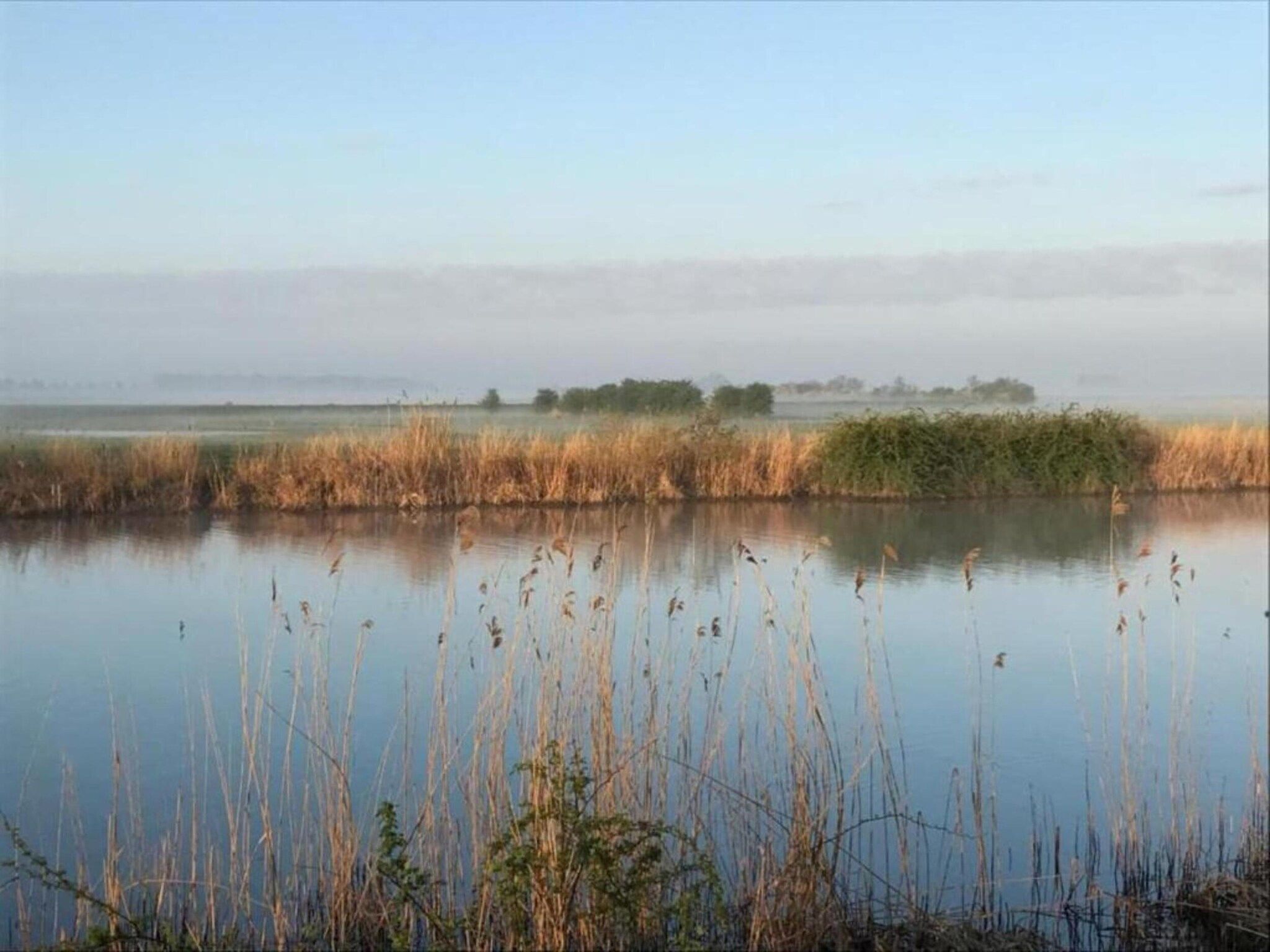 Standaard 231 in Simonshaven - Foto 13 van 34