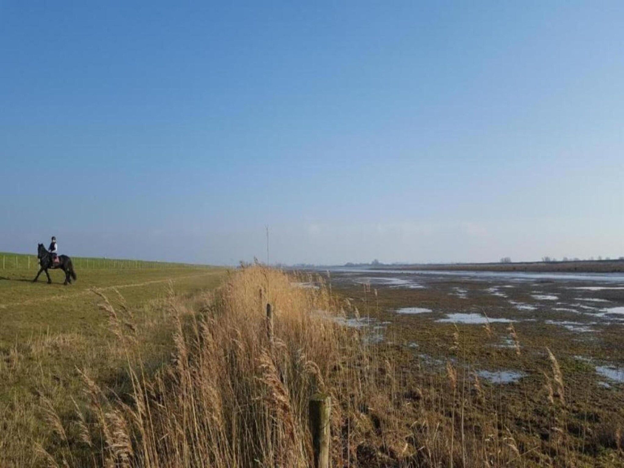 Standaard 231 in Simonshaven - Foto 24 van 34