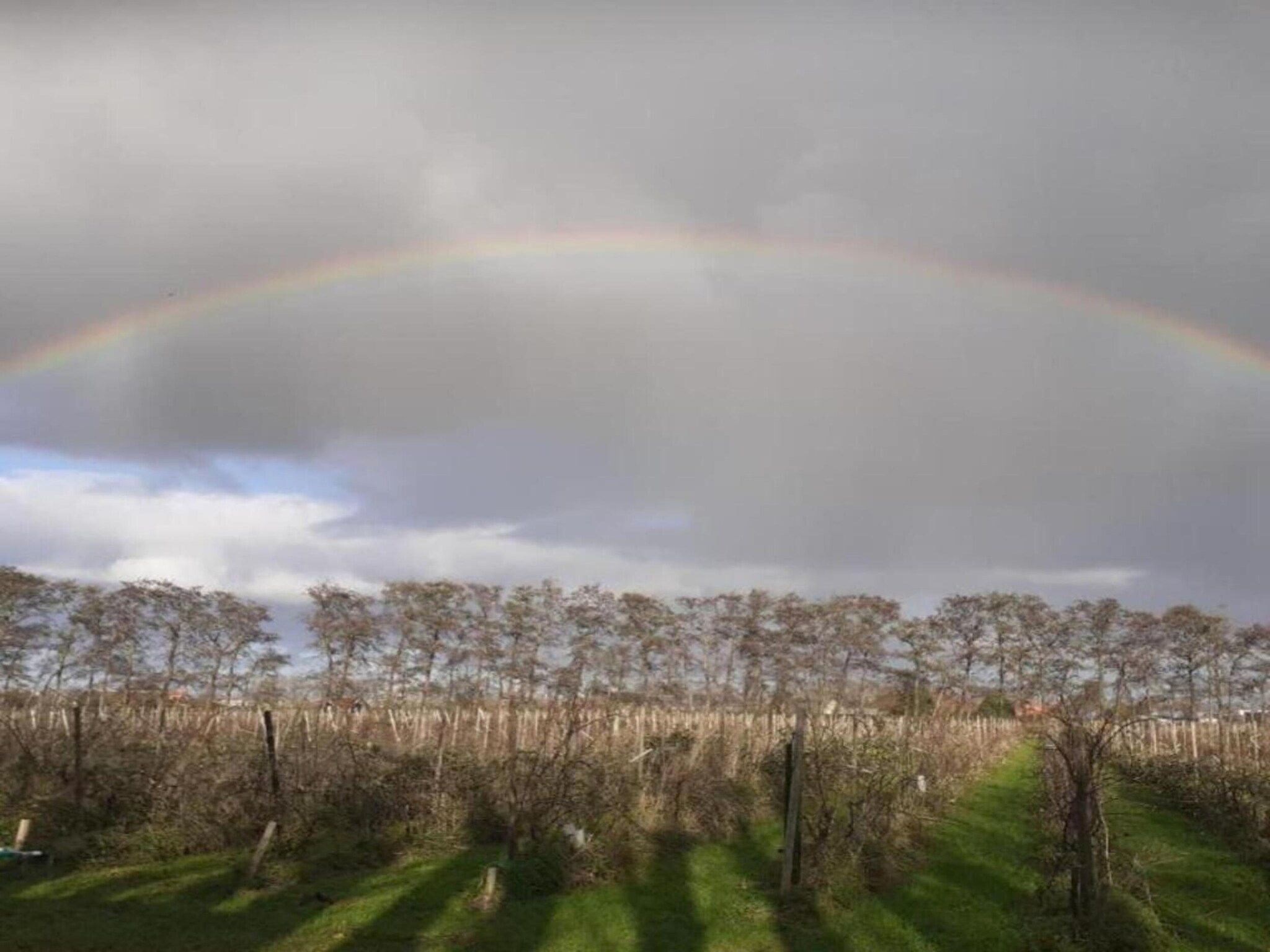 Standaard 231 in Simonshaven - Foto 11 van 34