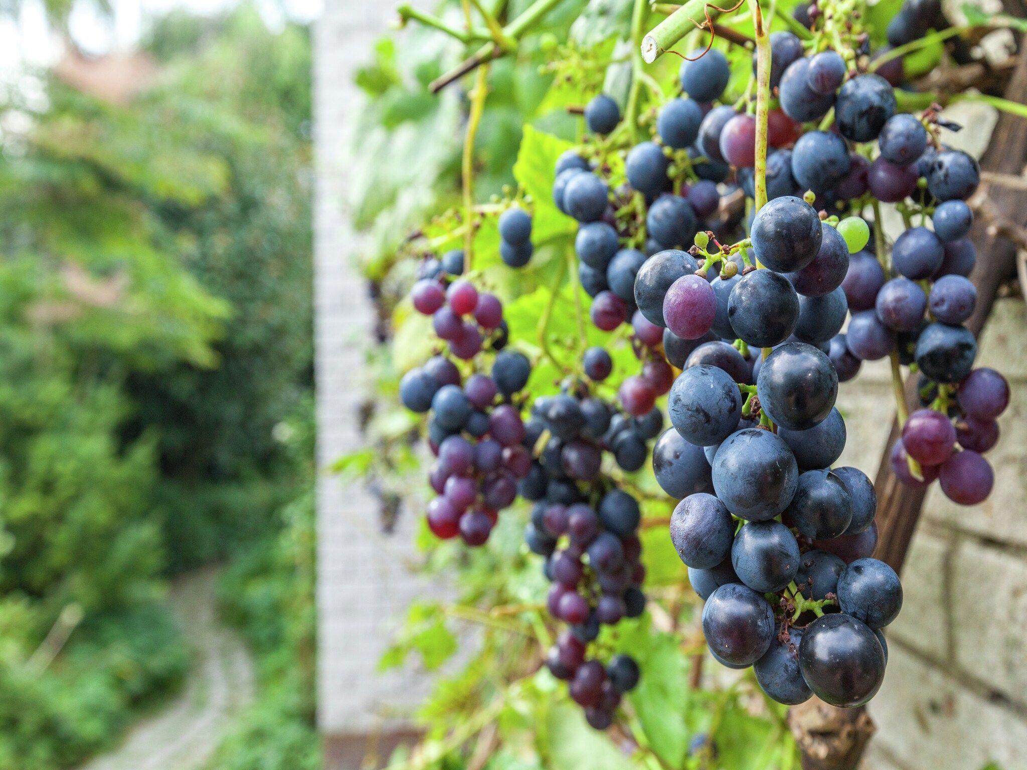 Sfeerbeeld van De Nachtegaal - Veerse Meer in Kamperland