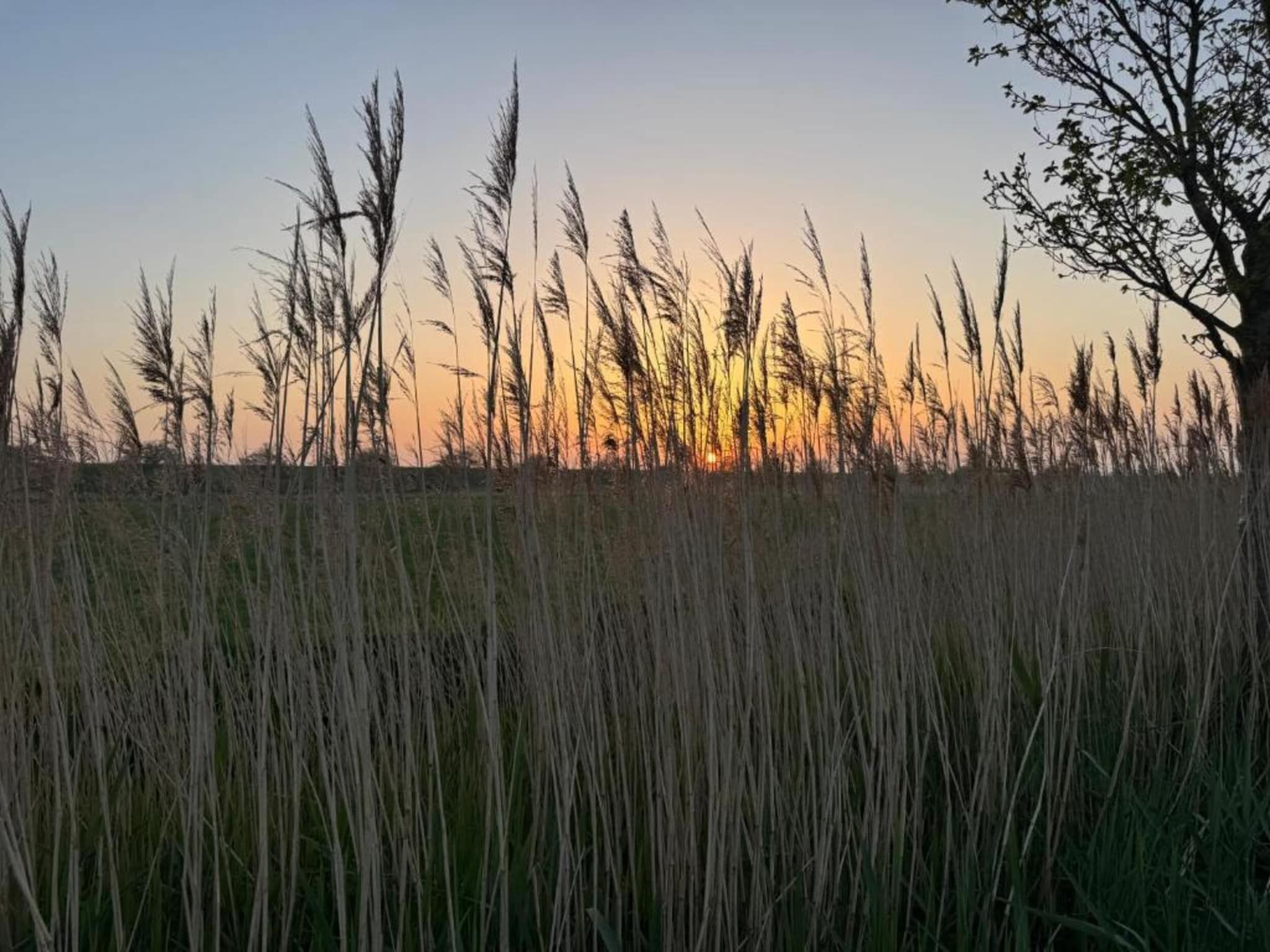 B&B de Gouwe Tijd in Noordgouwe - Foto 30 van 38
