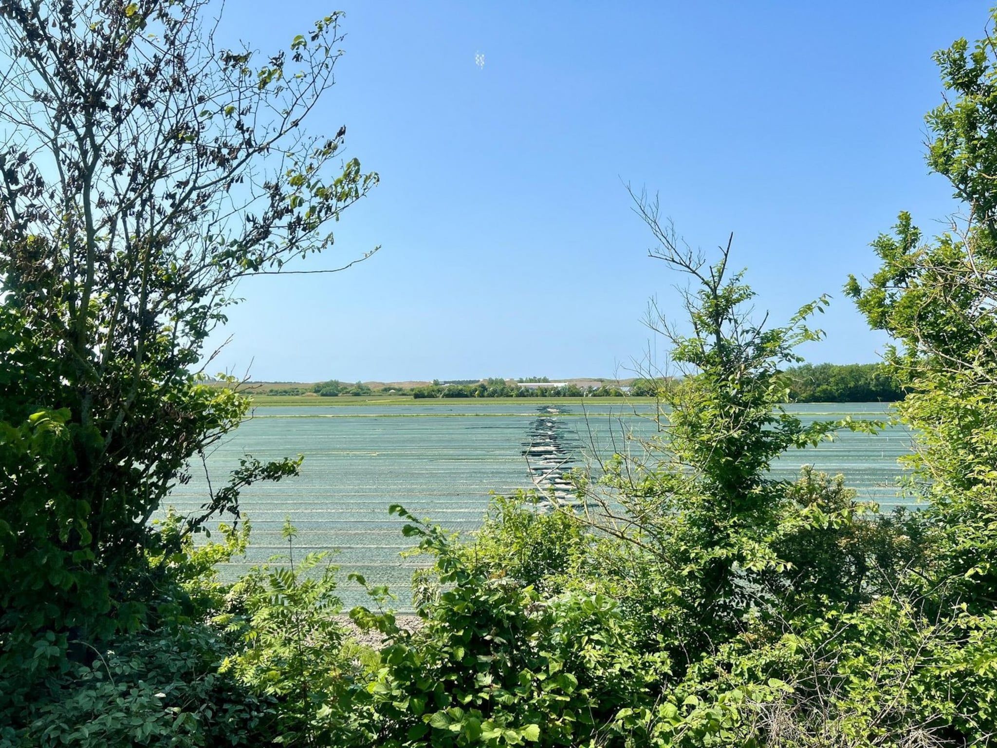 De omgeving van Anzelhoef 26 in Sint Maartenszee