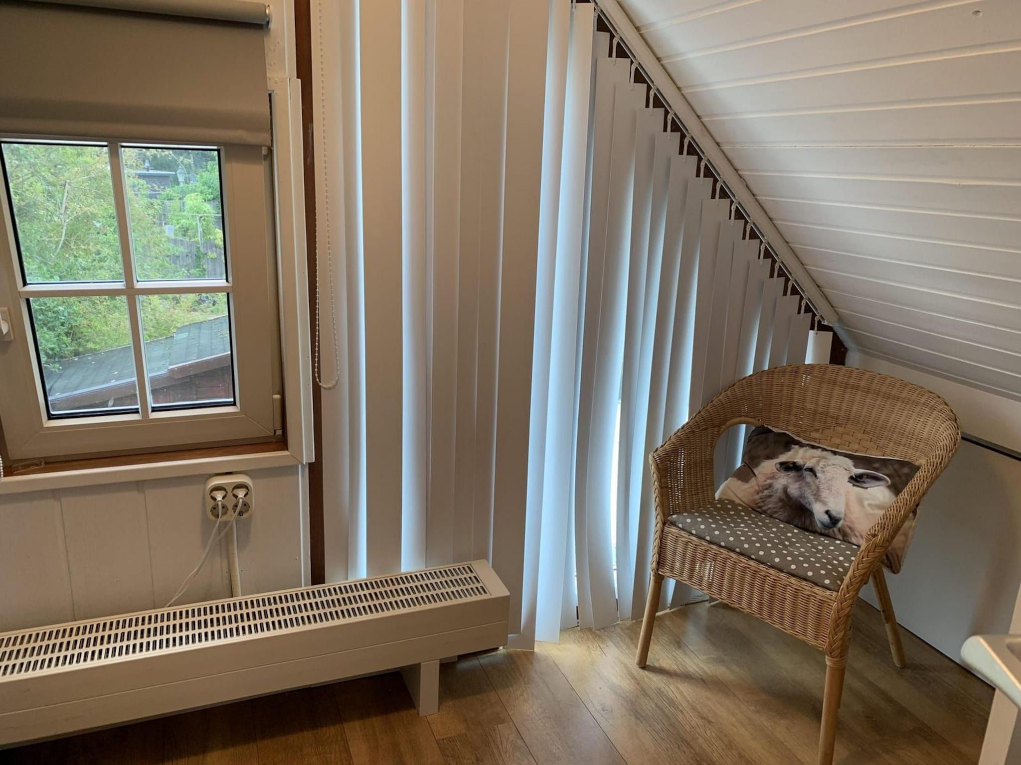 Sfeerbeeld van Belkmerduinen 03 in Sint Maartenszee