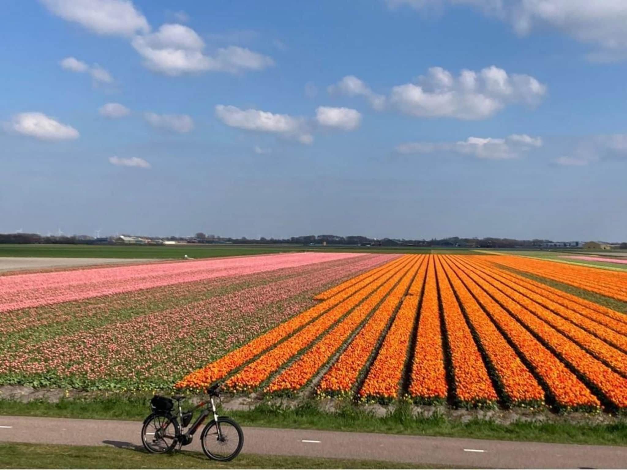 De omgeving van Belkmerduinen 05 in Sint Maartenszee
