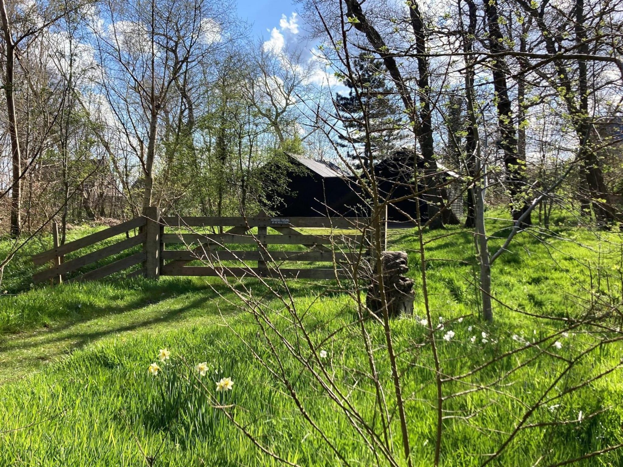 Belkmerduinen 05 in Sint Maartenszee - Foto 20 van 29