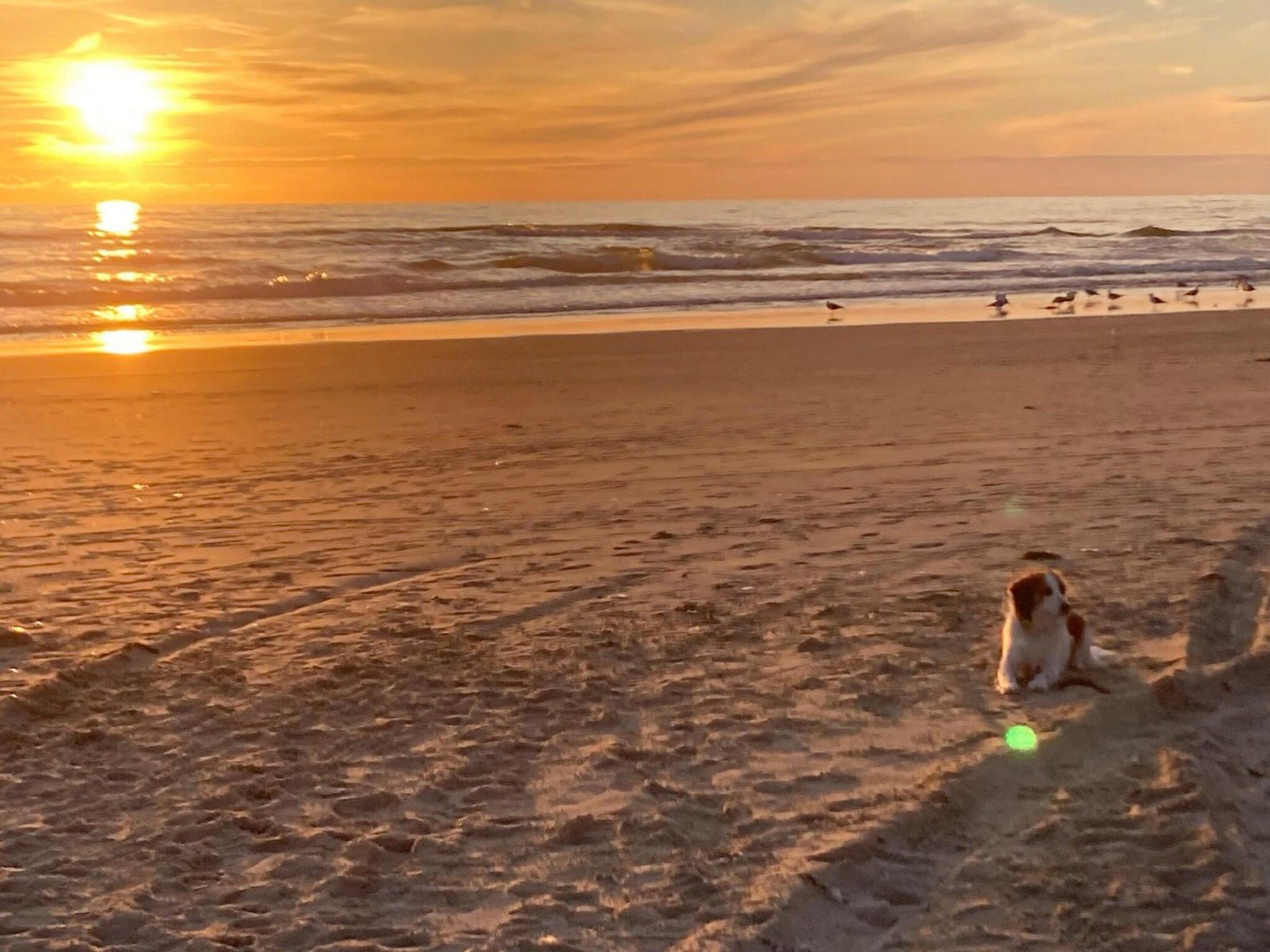 De omgeving van Belkmerduinen 05 in Sint Maartenszee