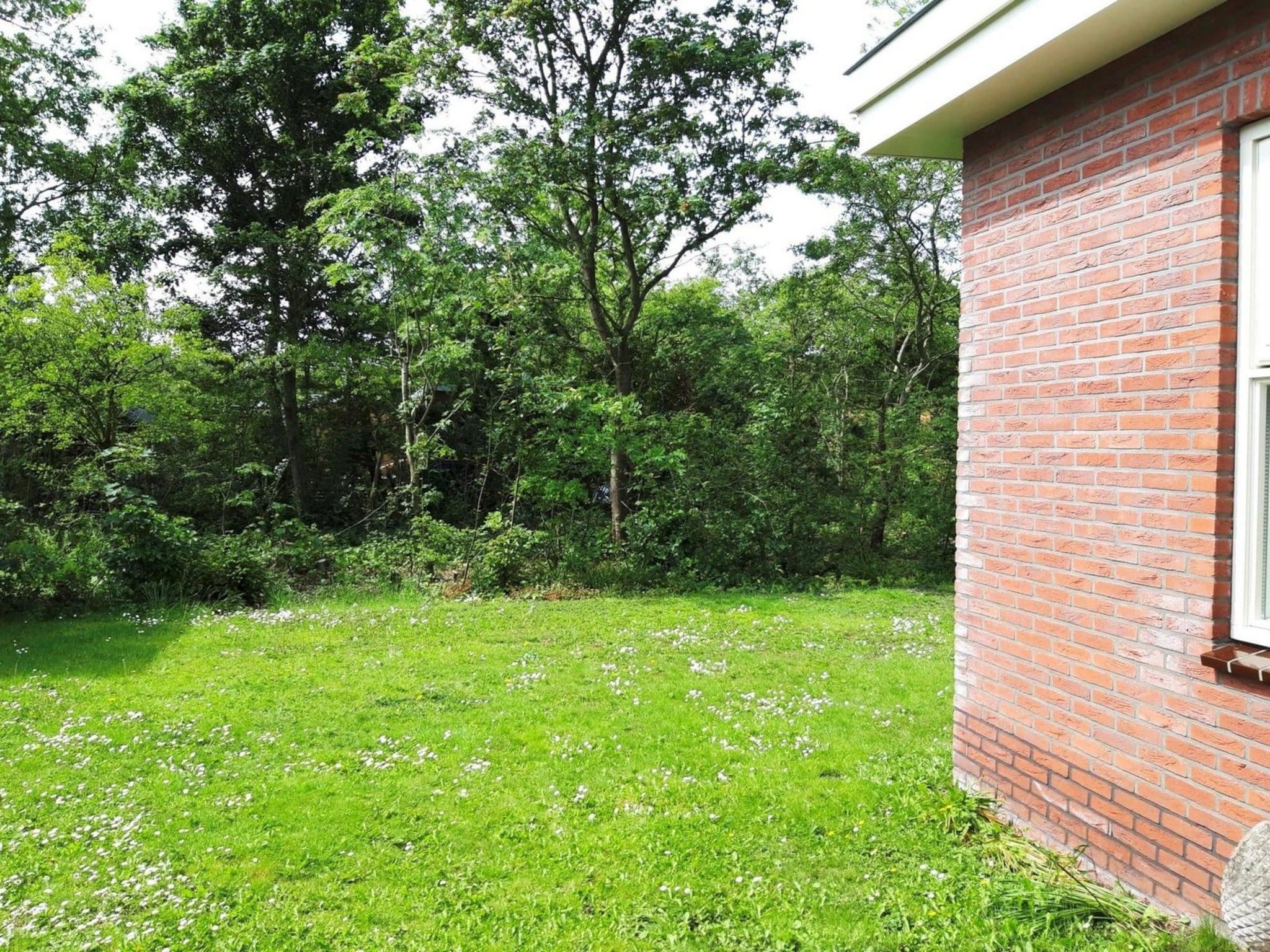 De tuin van Campanula 11 in Sint Maartenszee