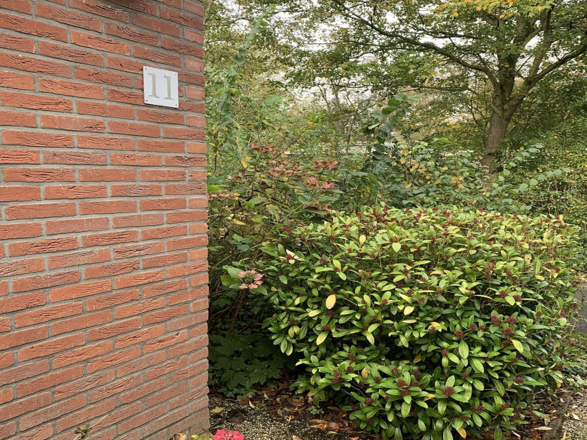 De tuin van Campanula 11 in Sint Maartenszee