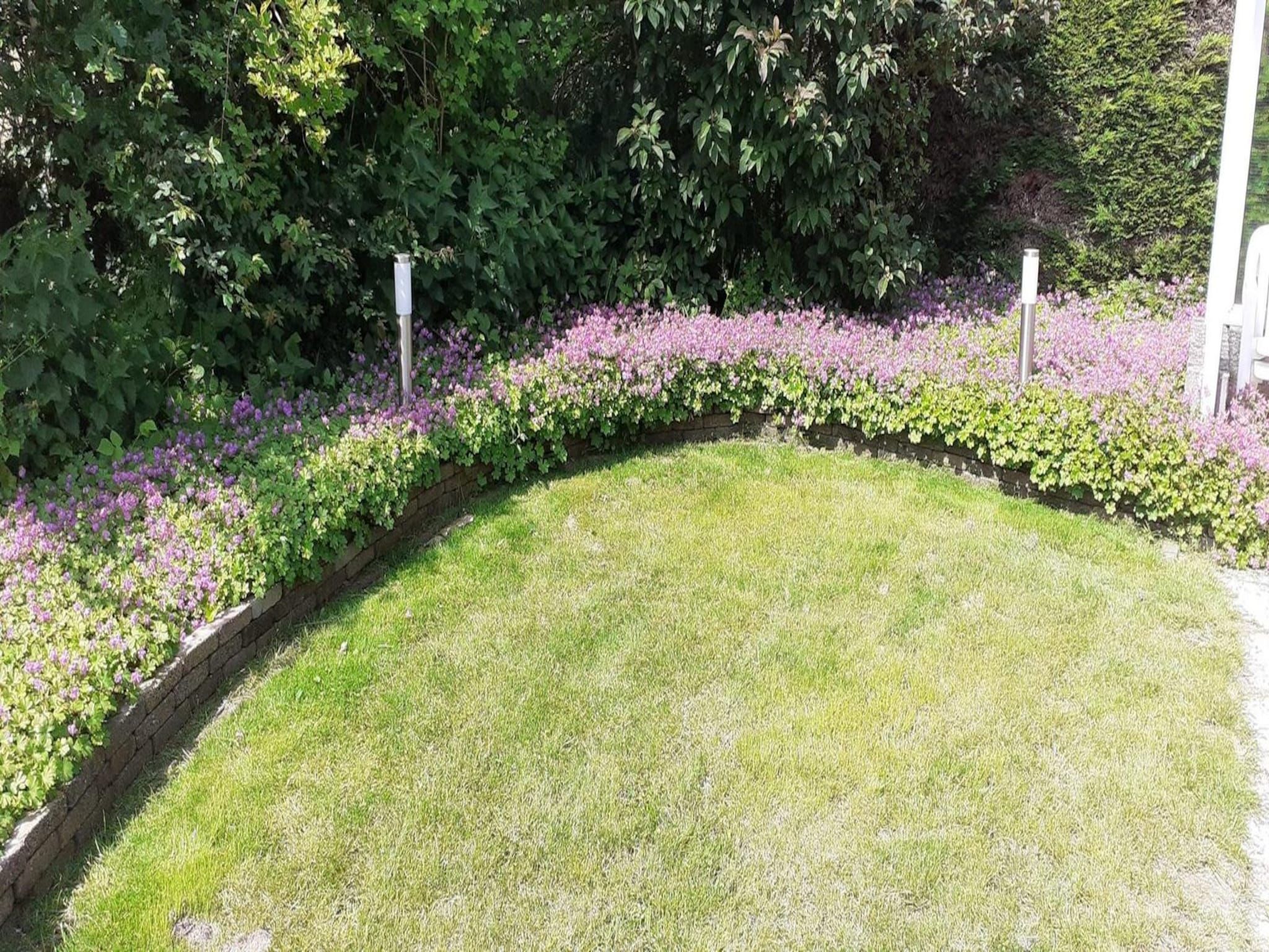 De tuin van Bohemien 27 in Sint Maartenszee