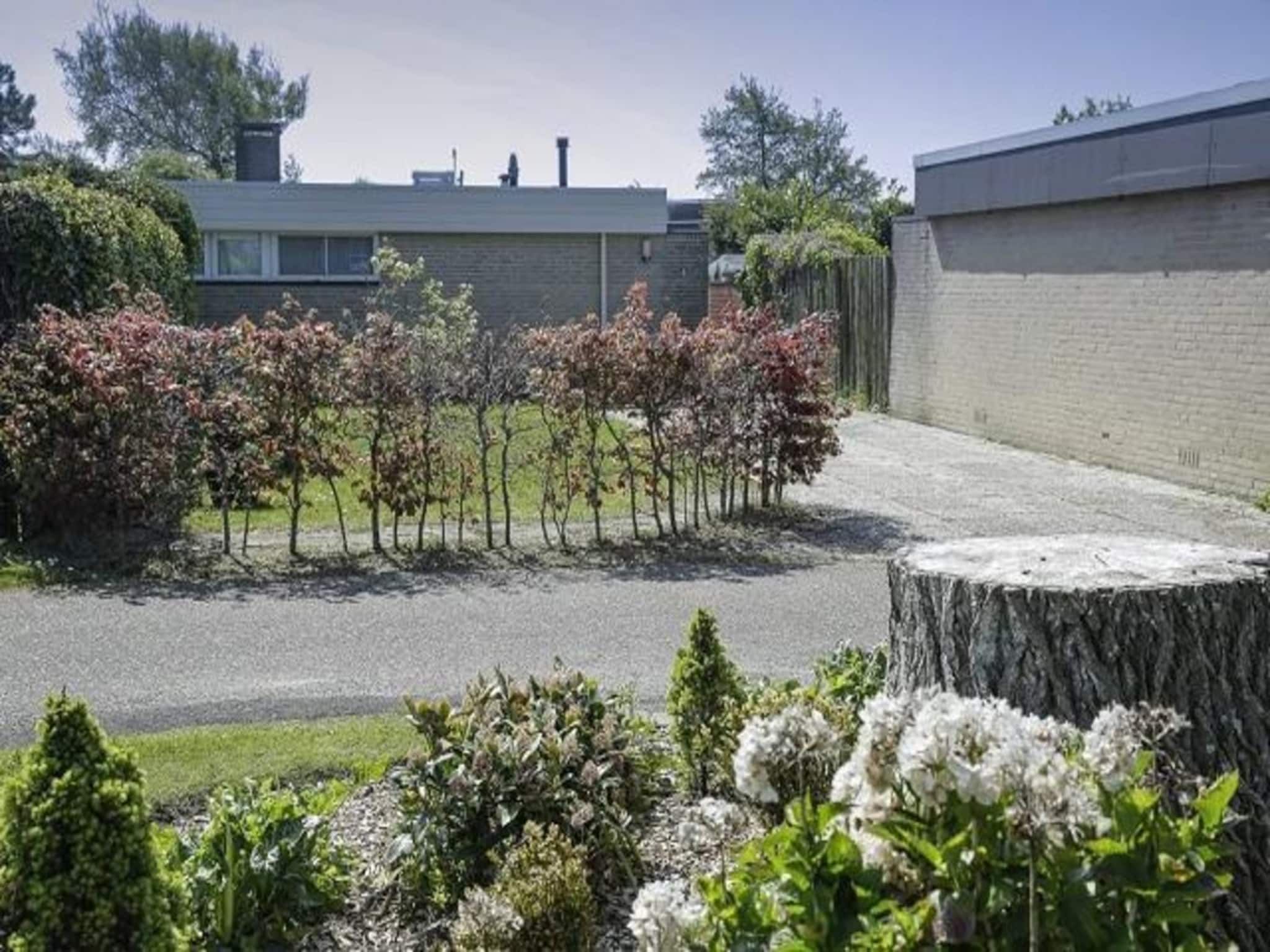 De tuin van De Schelp 14 in Sint Maartenszee