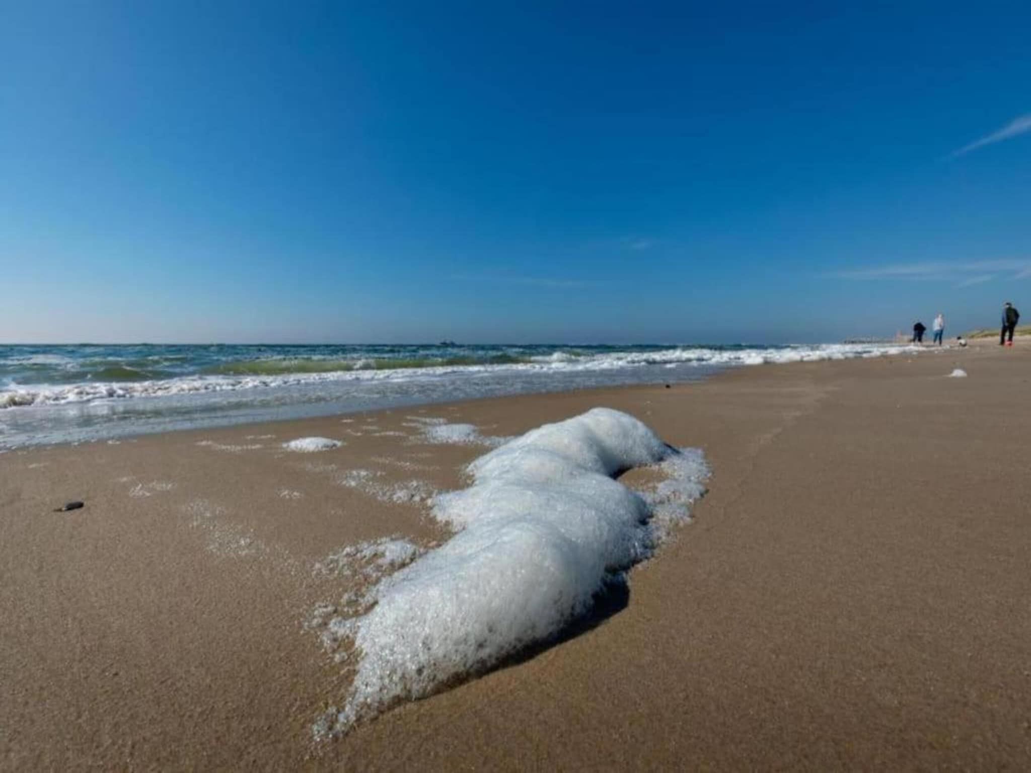 De Schelp 21 in Sint Maartenszee - Foto 24 van 32