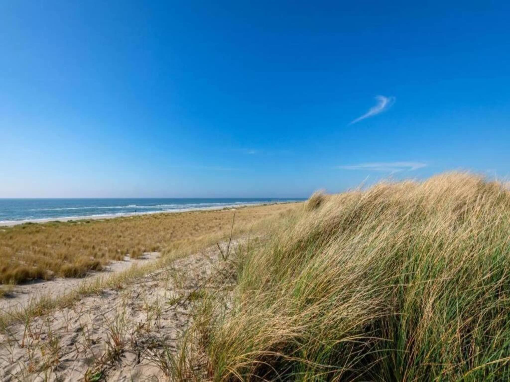 De Schelp 21 in Sint Maartenszee - Foto 25 van 32