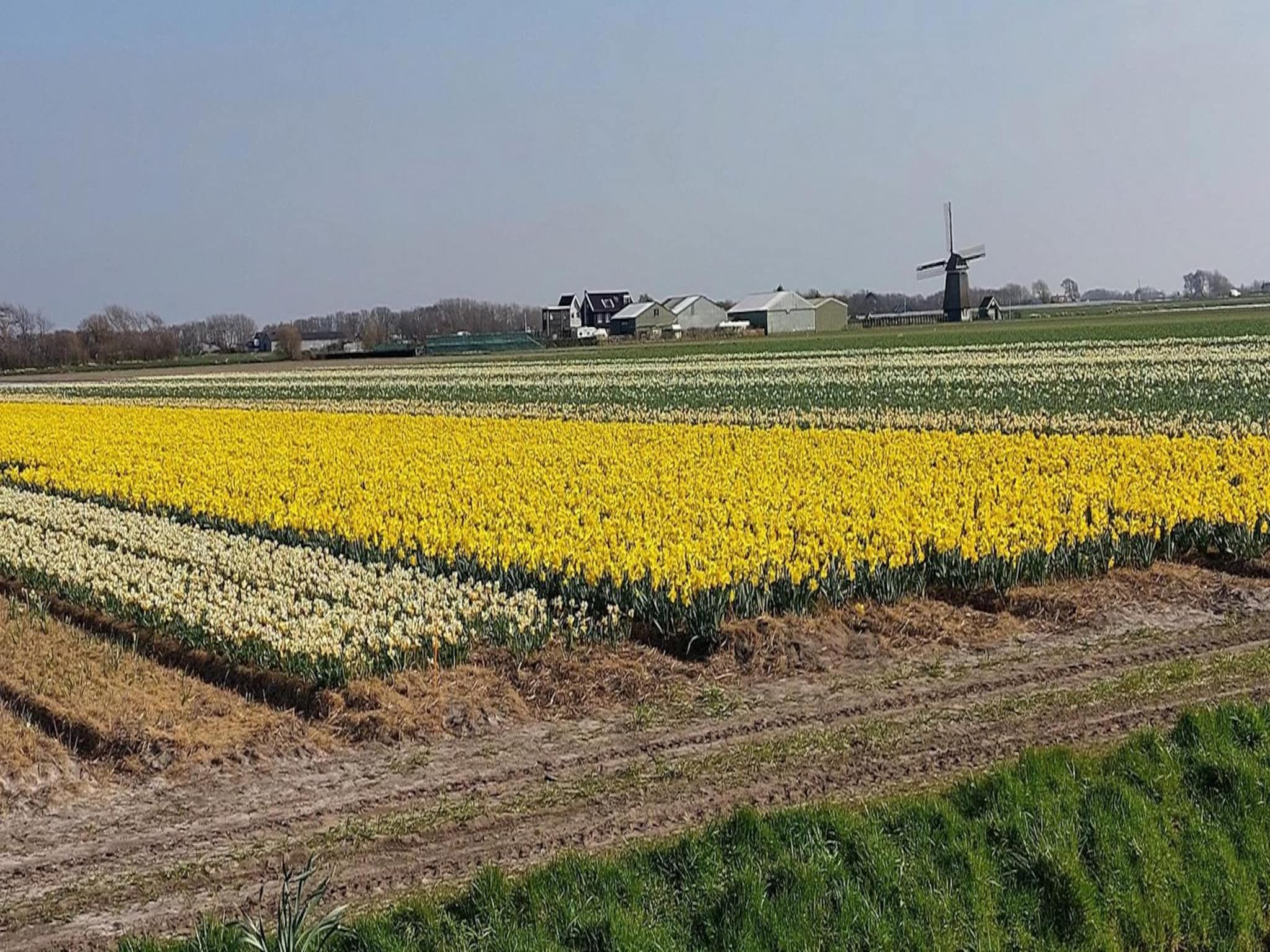 De omgeving van Eureka 13 in Sint Maartenszee