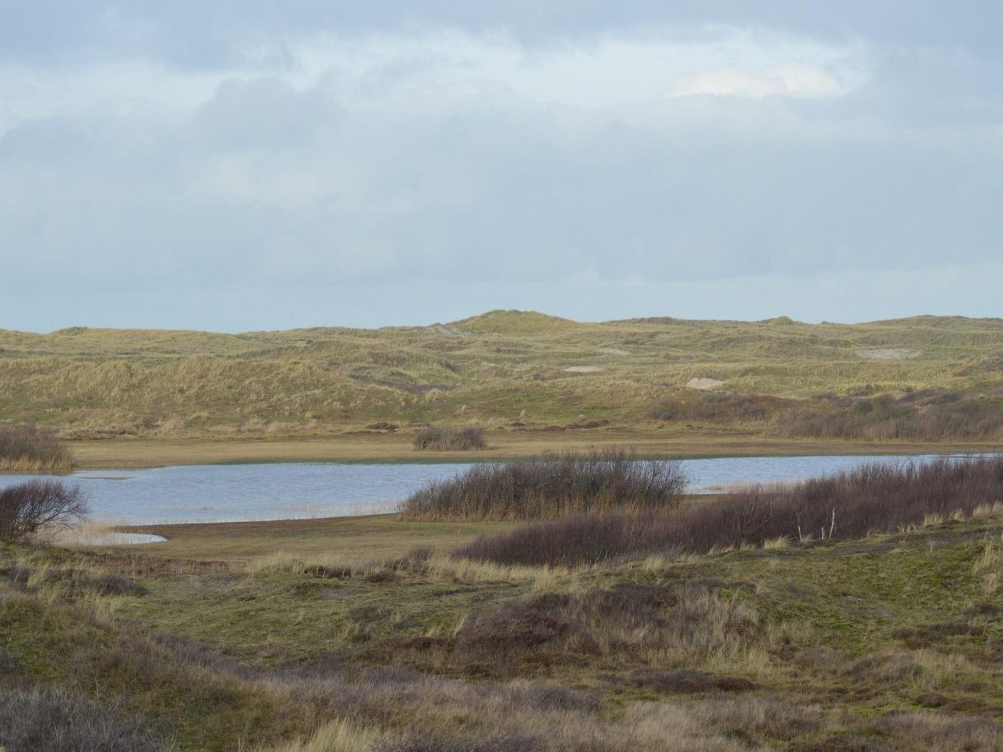 De omgeving van De Schelp 26 in Sint Maartenszee