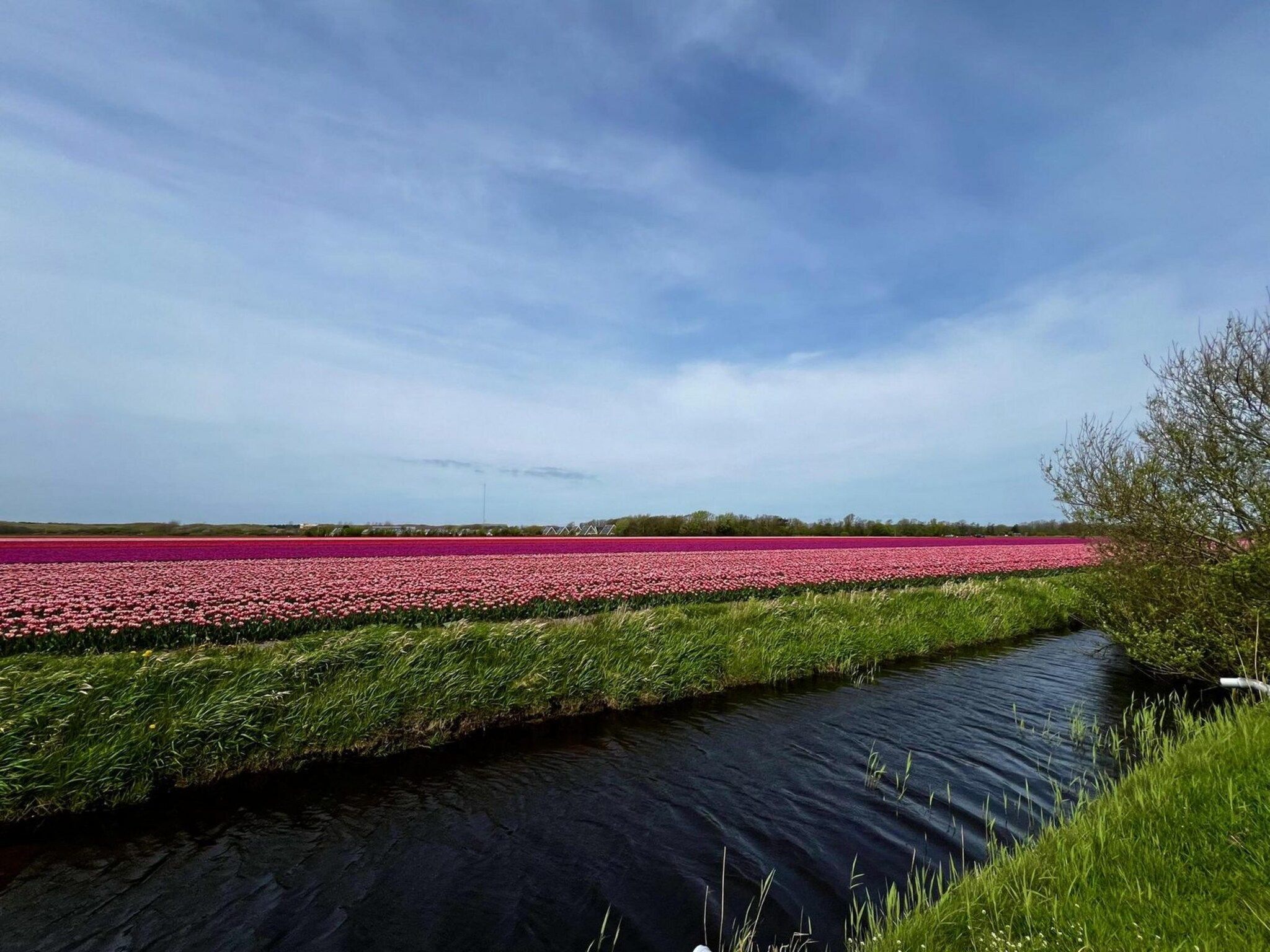 De omgeving van De Schelp 27 in Sint Maartenszee