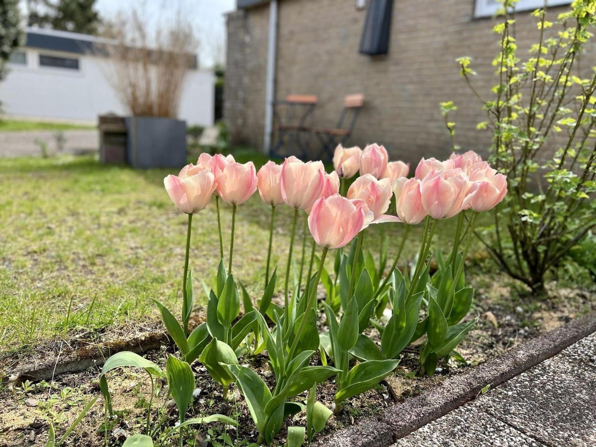 De woonkamer van De Schelp 27 in Sint Maartenszee