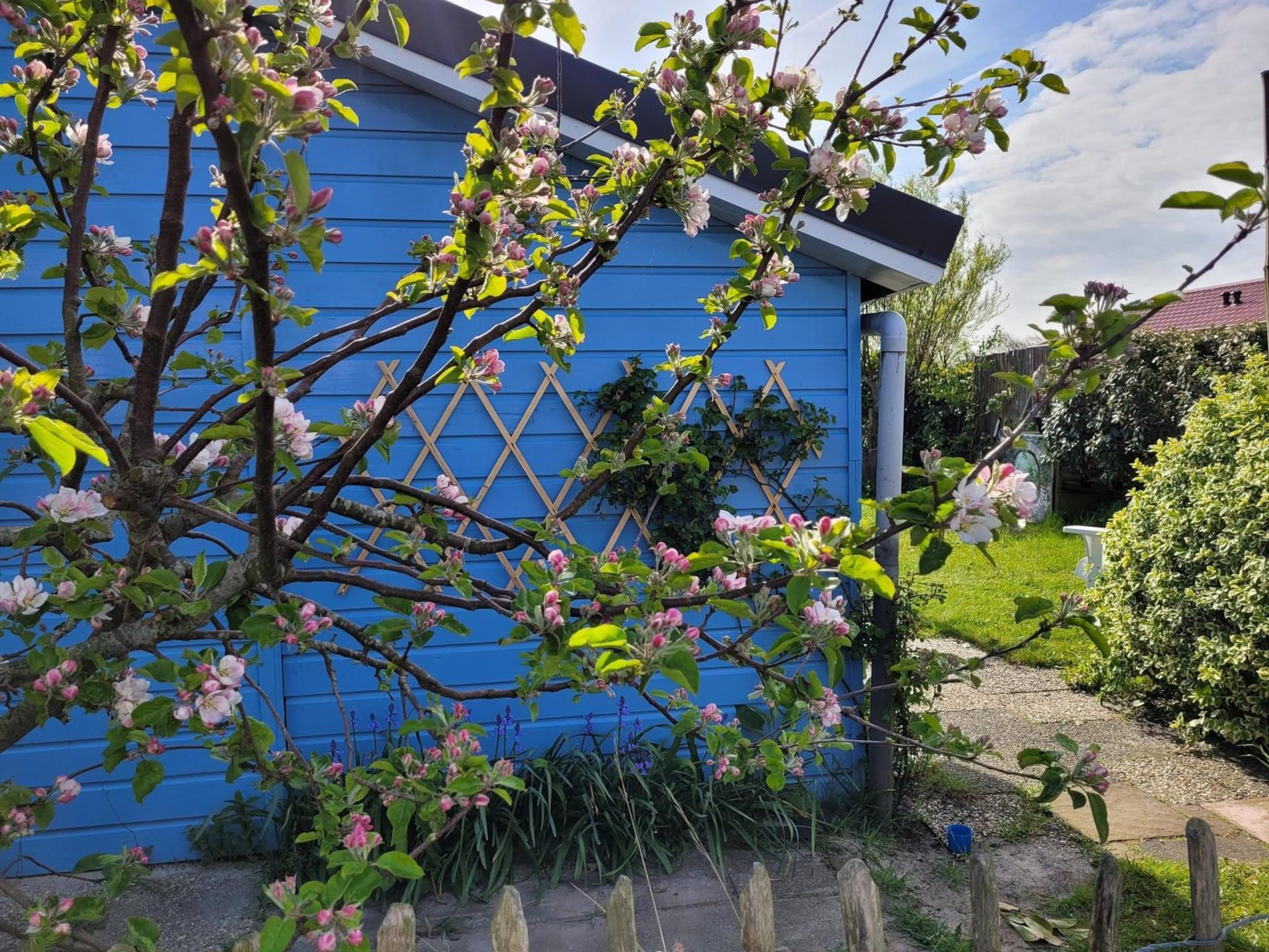 De tuin van Eb en Vloed 53 in Sint Maartenszee