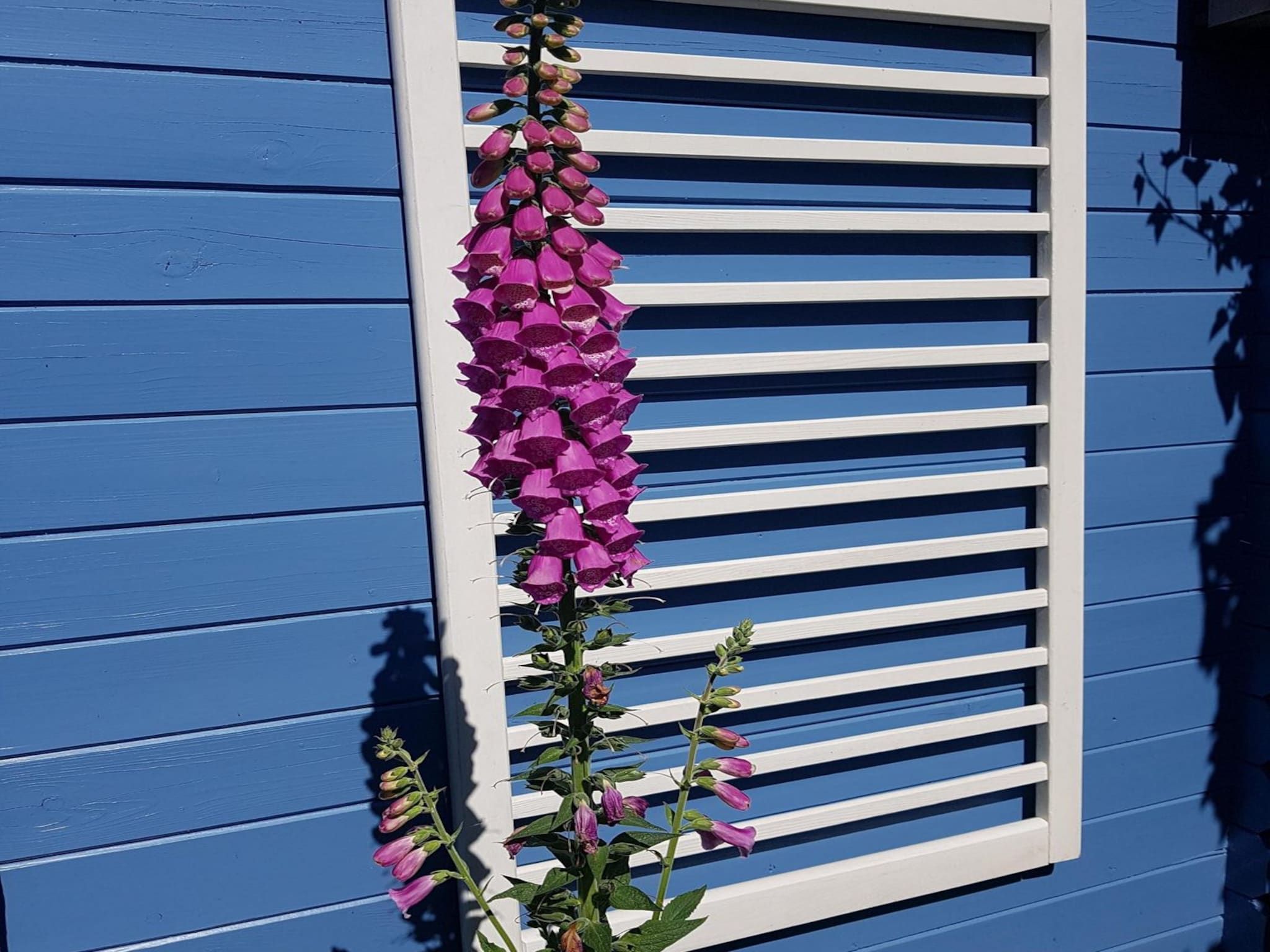 Sfeerbeeld van Eb en Vloed 53 in Sint Maartenszee