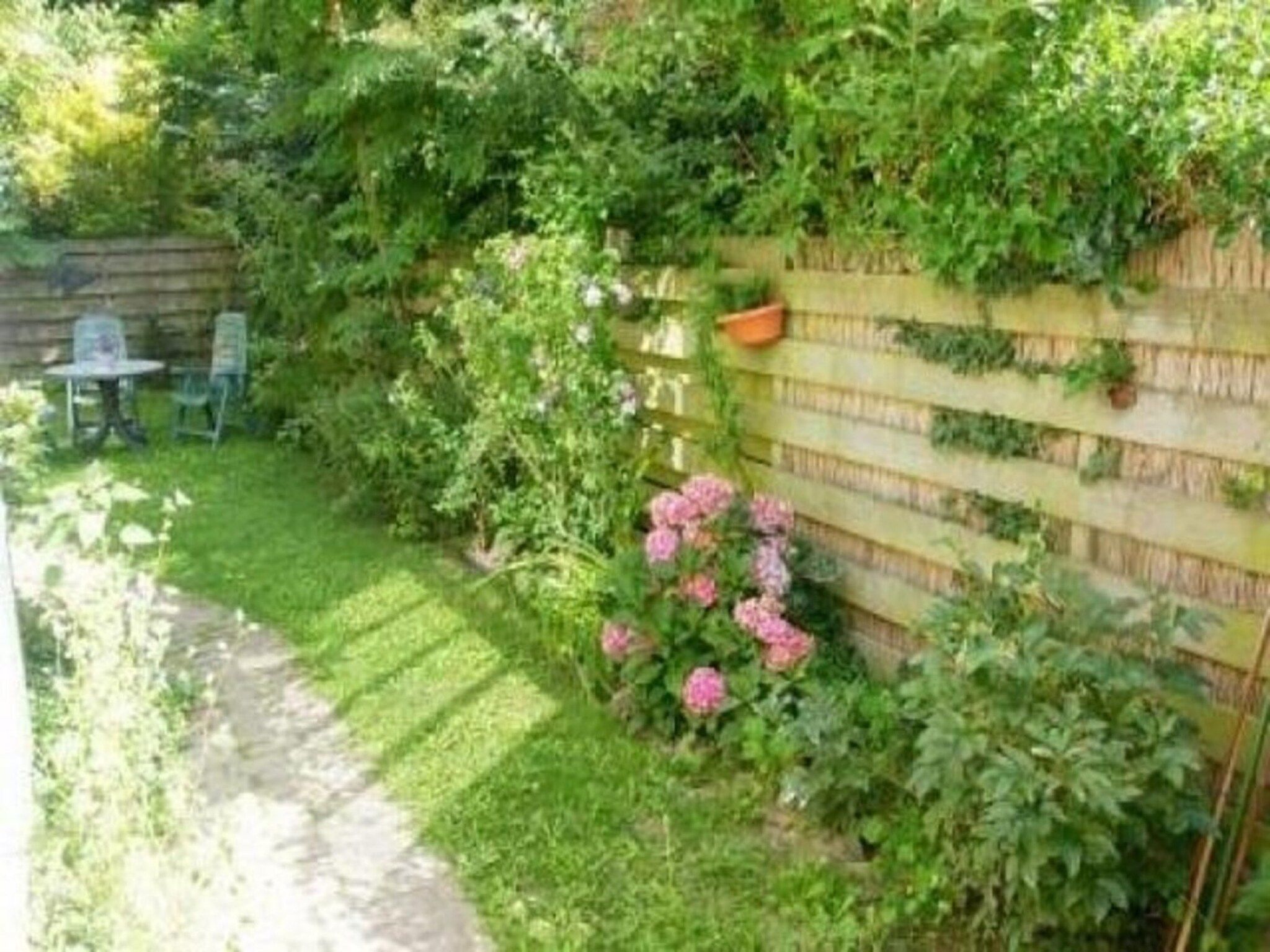 De tuin van Eriksstraat 8 in Petten