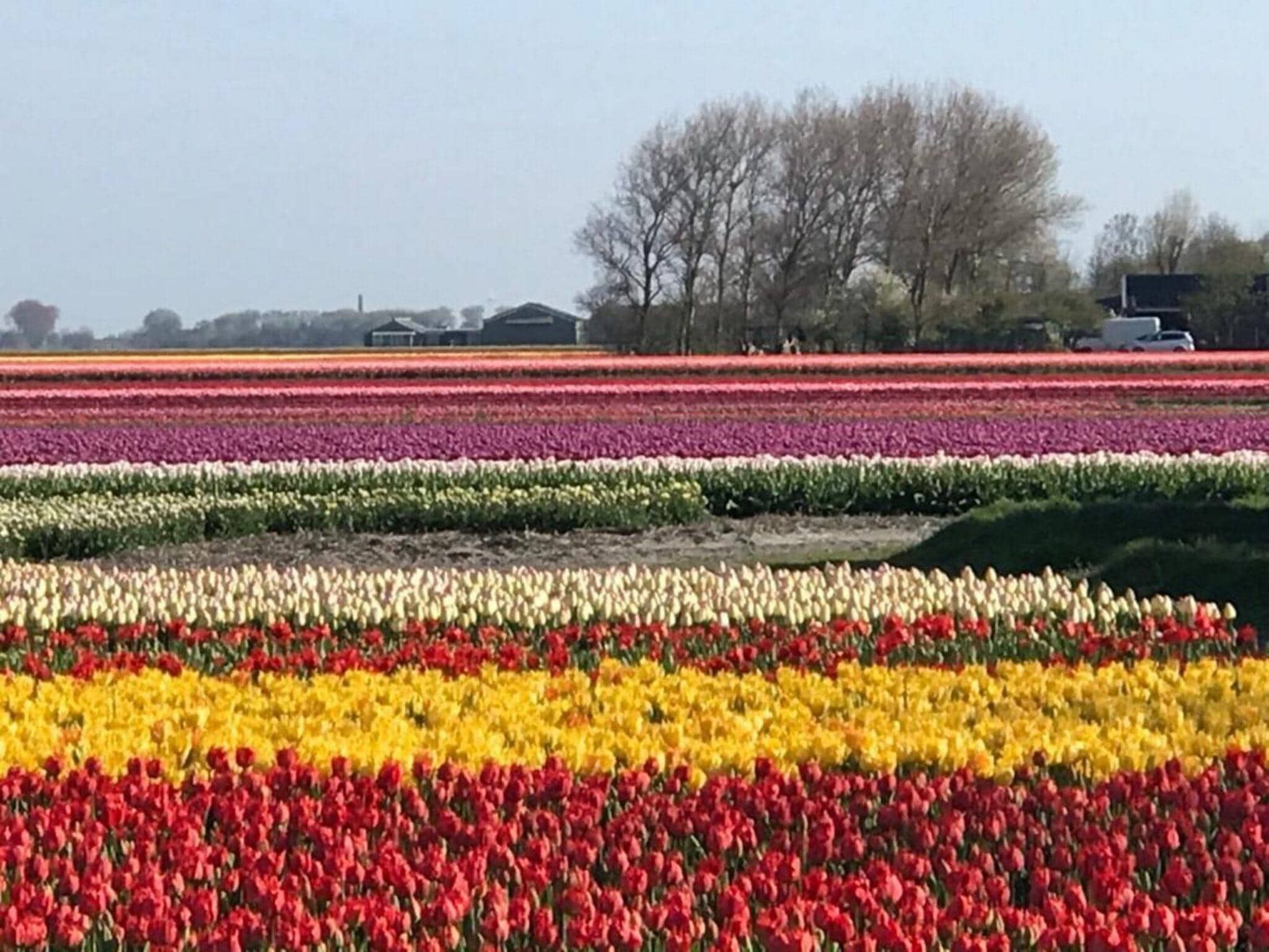 Het uitzicht vanaf Ruyghe Hoeck 4 in Sint Maartensbrug