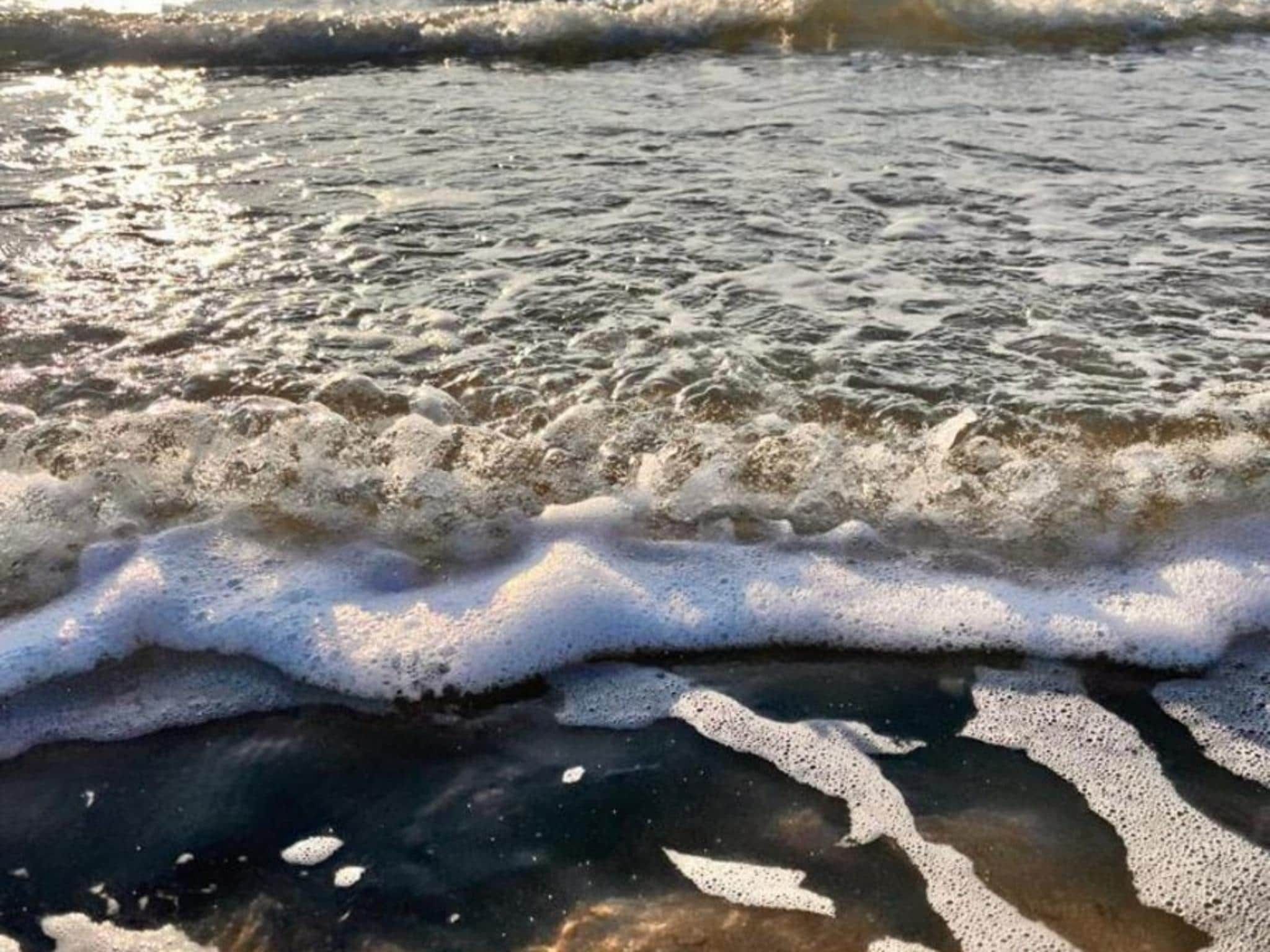 Ruyghe Hoeck 4 in Sint Maartensbrug - Foto 23 van 24