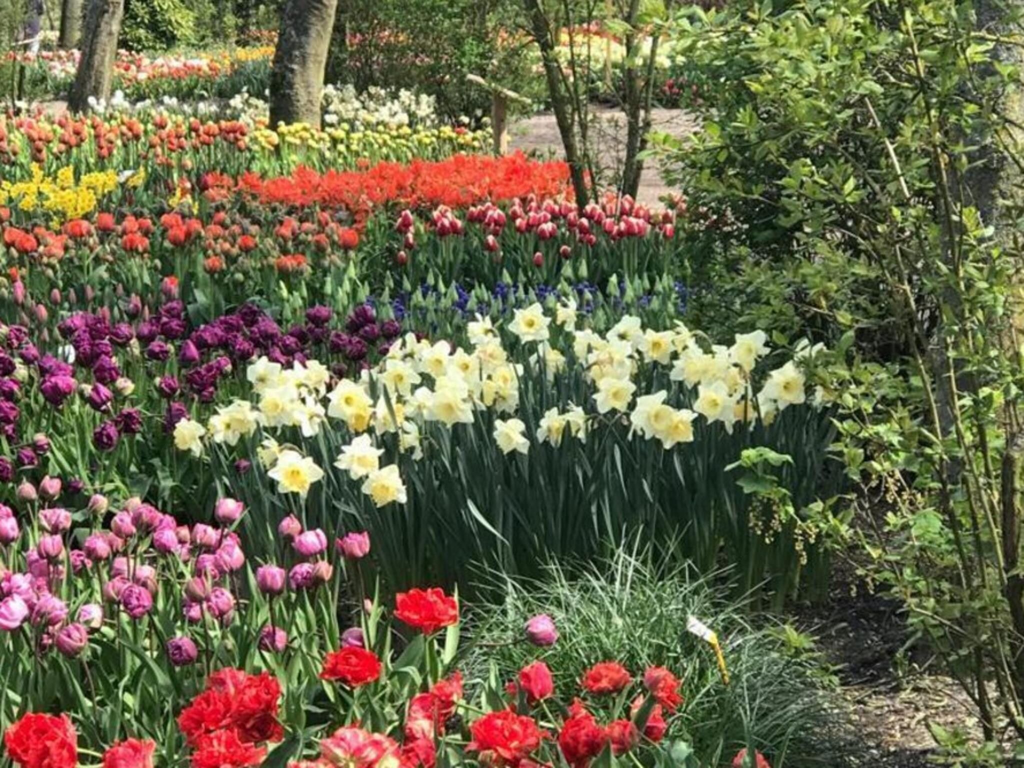 Sfeerbeeld van Ruyghe Hoeck 4 in Sint Maartensbrug