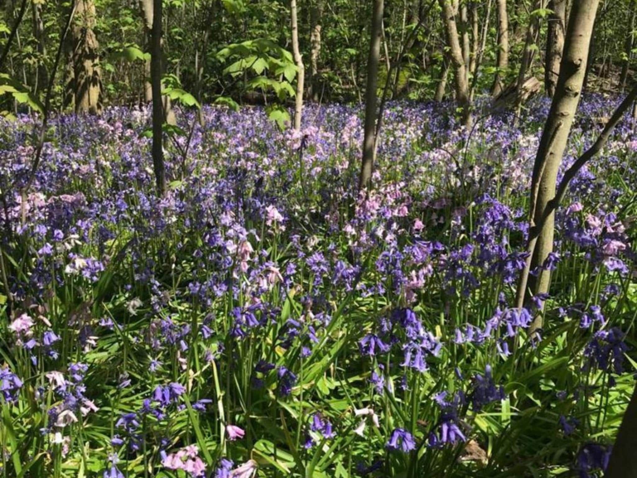 Sfeerbeeld van Ruyghe Hoeck 4 in Sint Maartensbrug