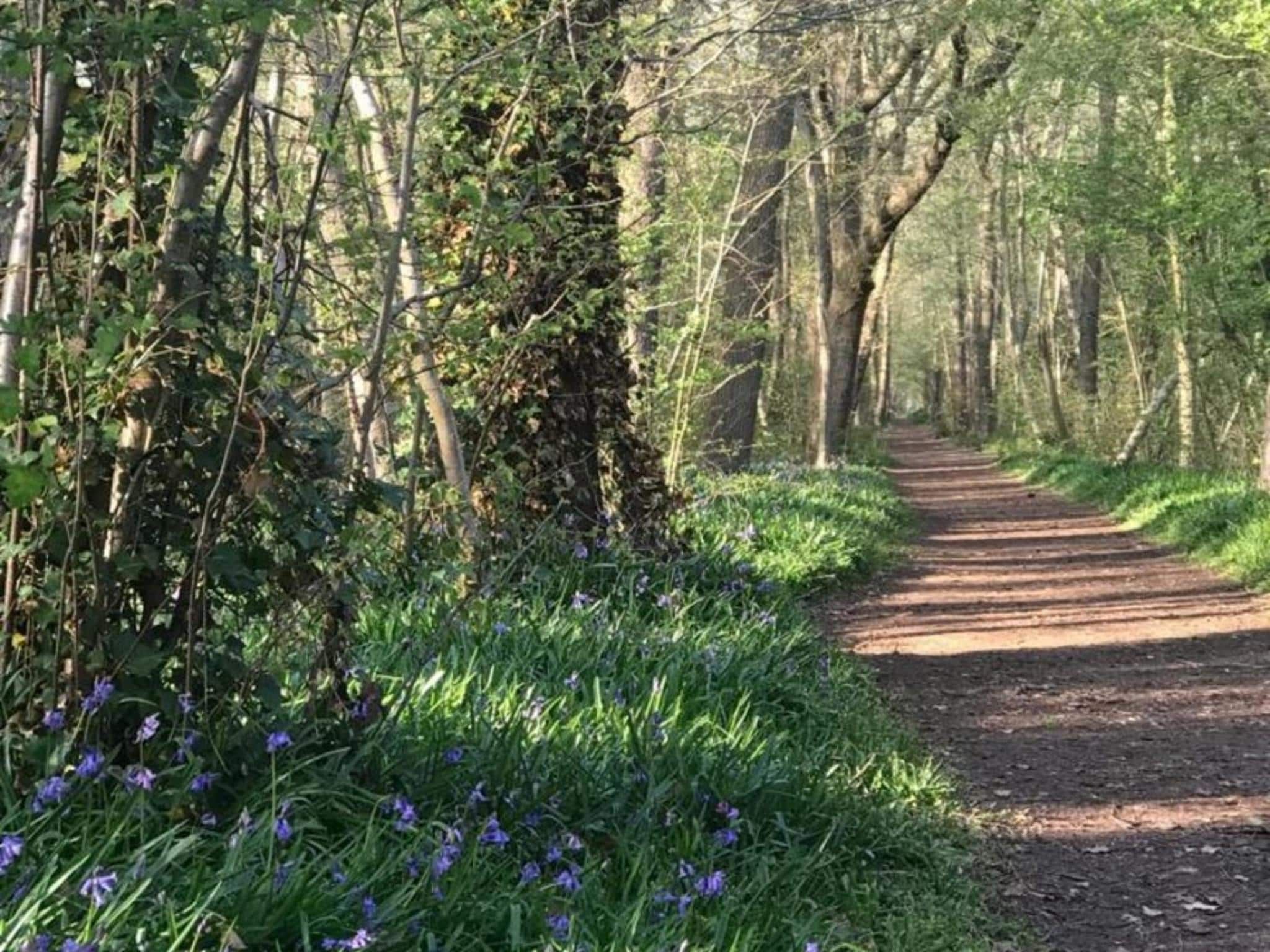Ruyghe Hoeck 4 in Sint Maartensbrug - Foto 19 van 24