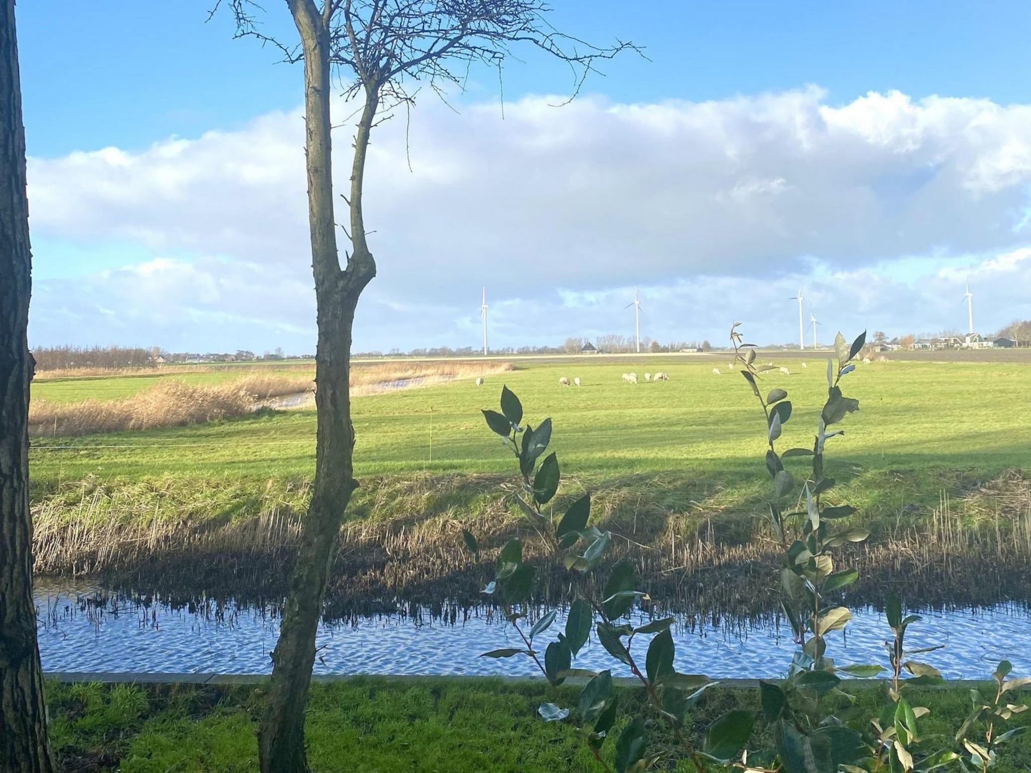 De omgeving van Vogelvrij 4 in Burgerbrug
