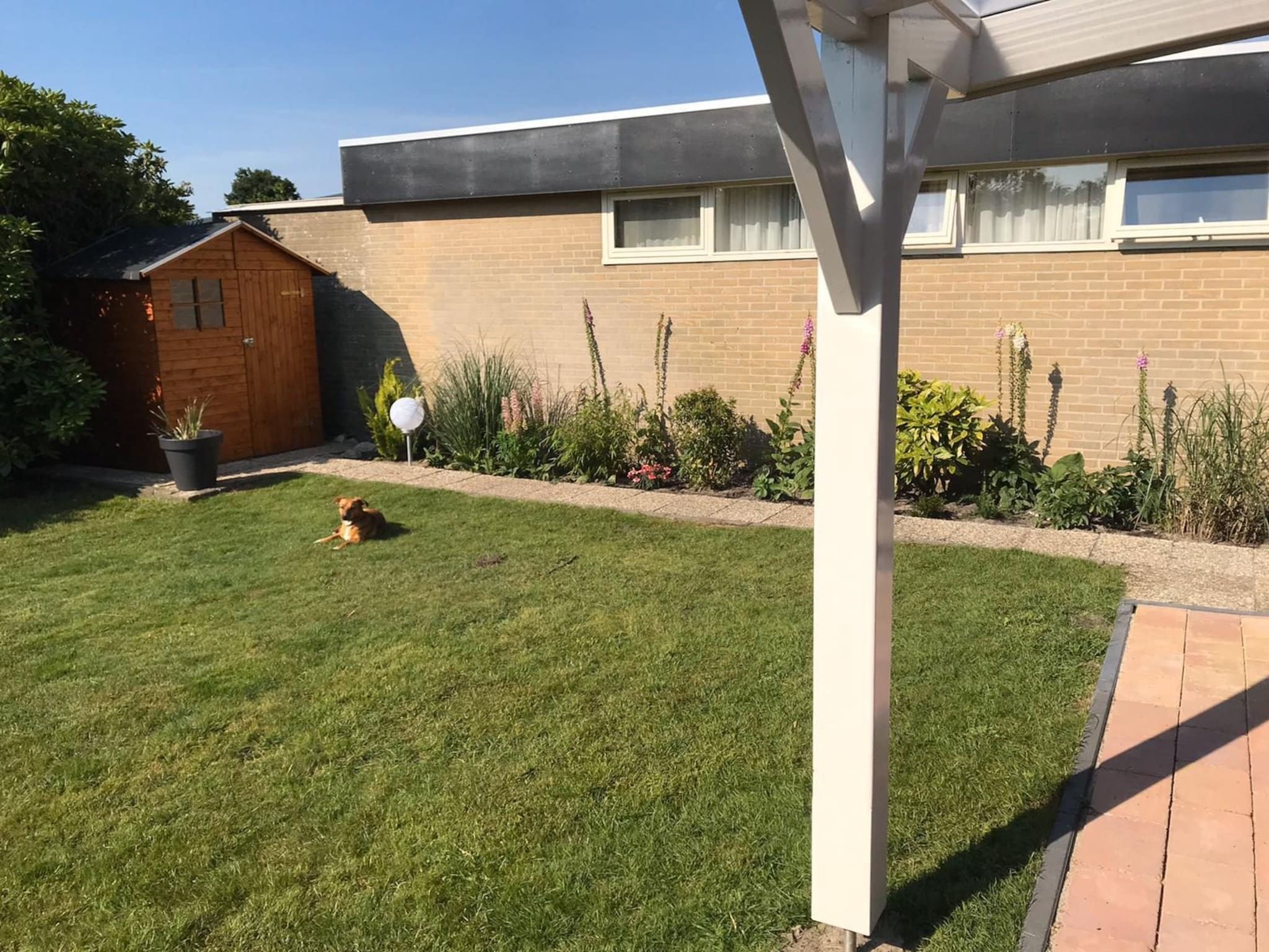 De tuin van Wildrijk 065 in Sint Maartenszee