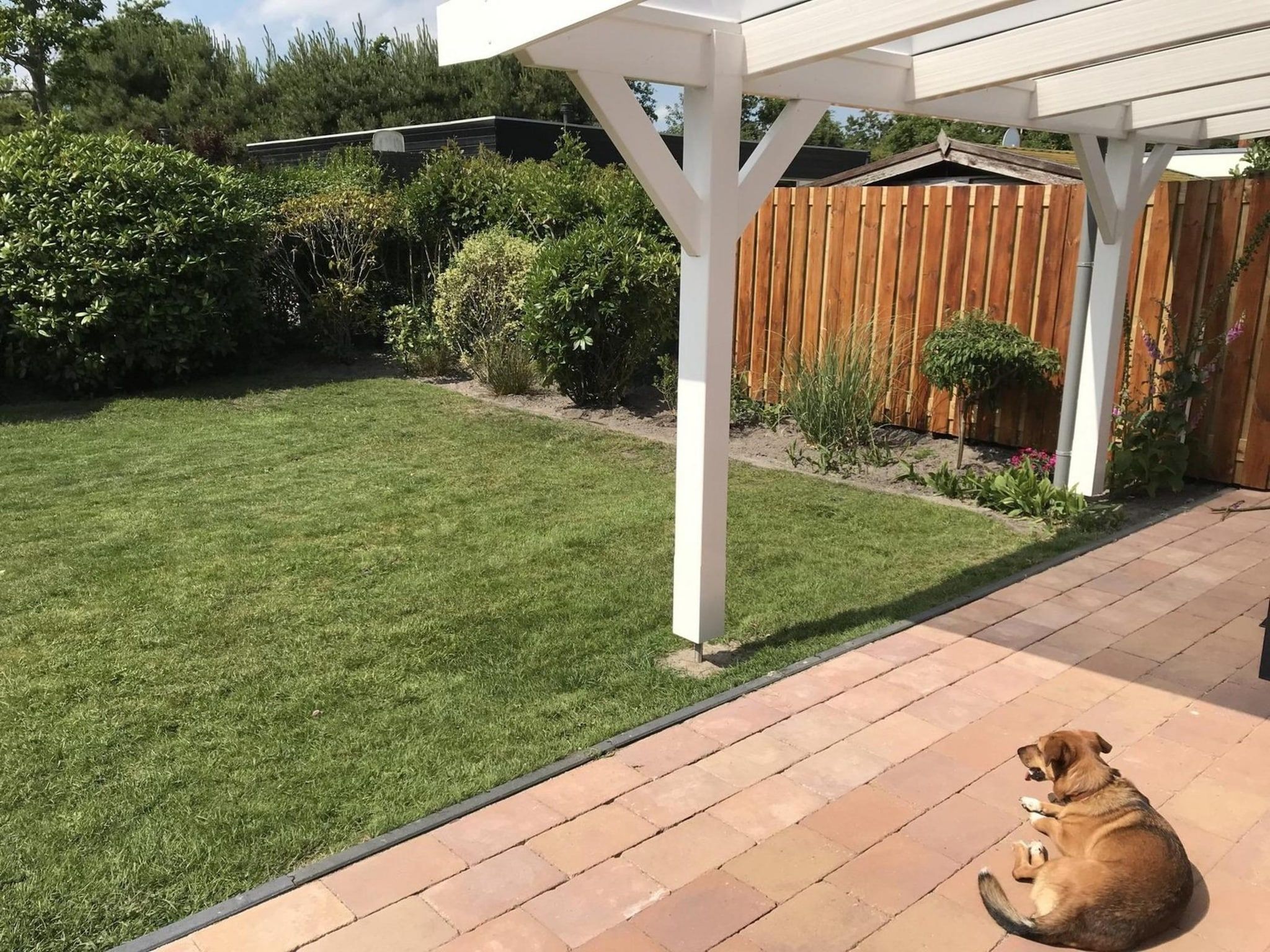 De tuin van Wildrijk 065 in Sint Maartenszee
