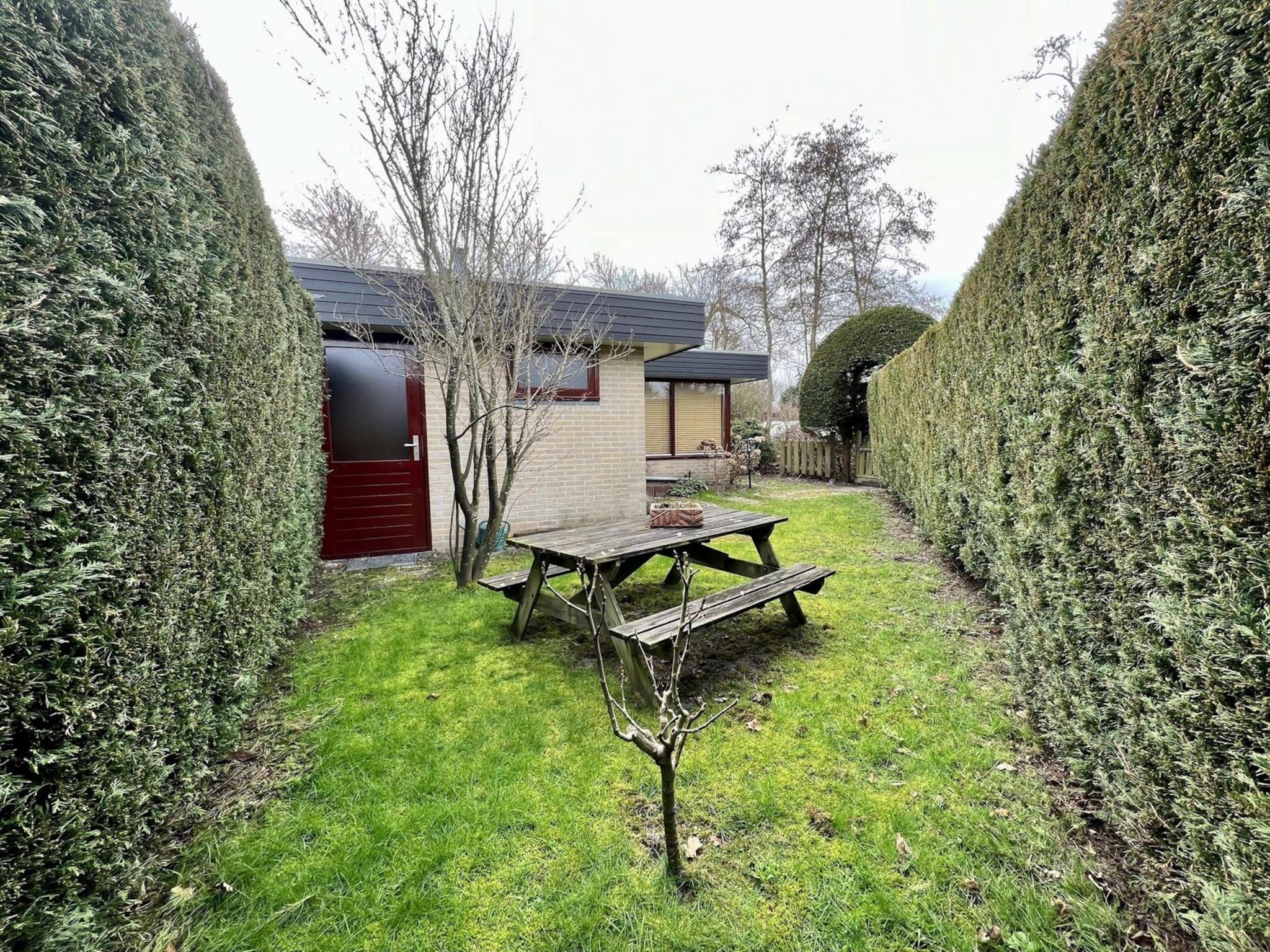 De tuin van Wildrijk 96 in Sint Maartenszee