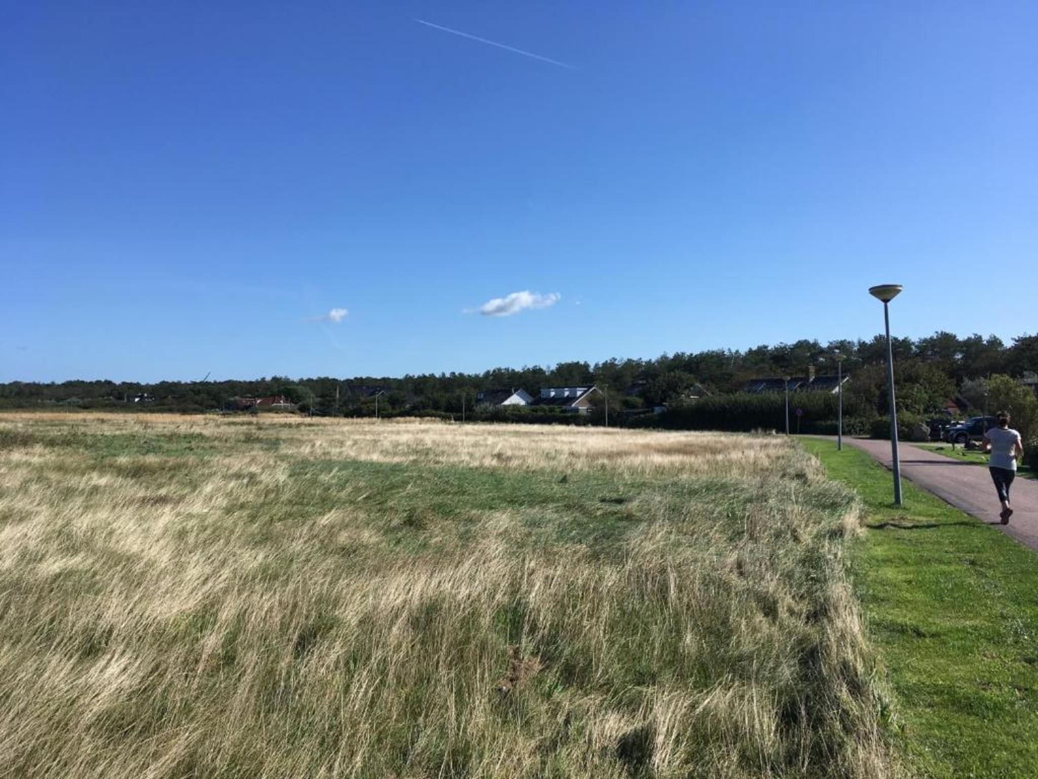 De omgeving van Beach 15-20 in Petten
