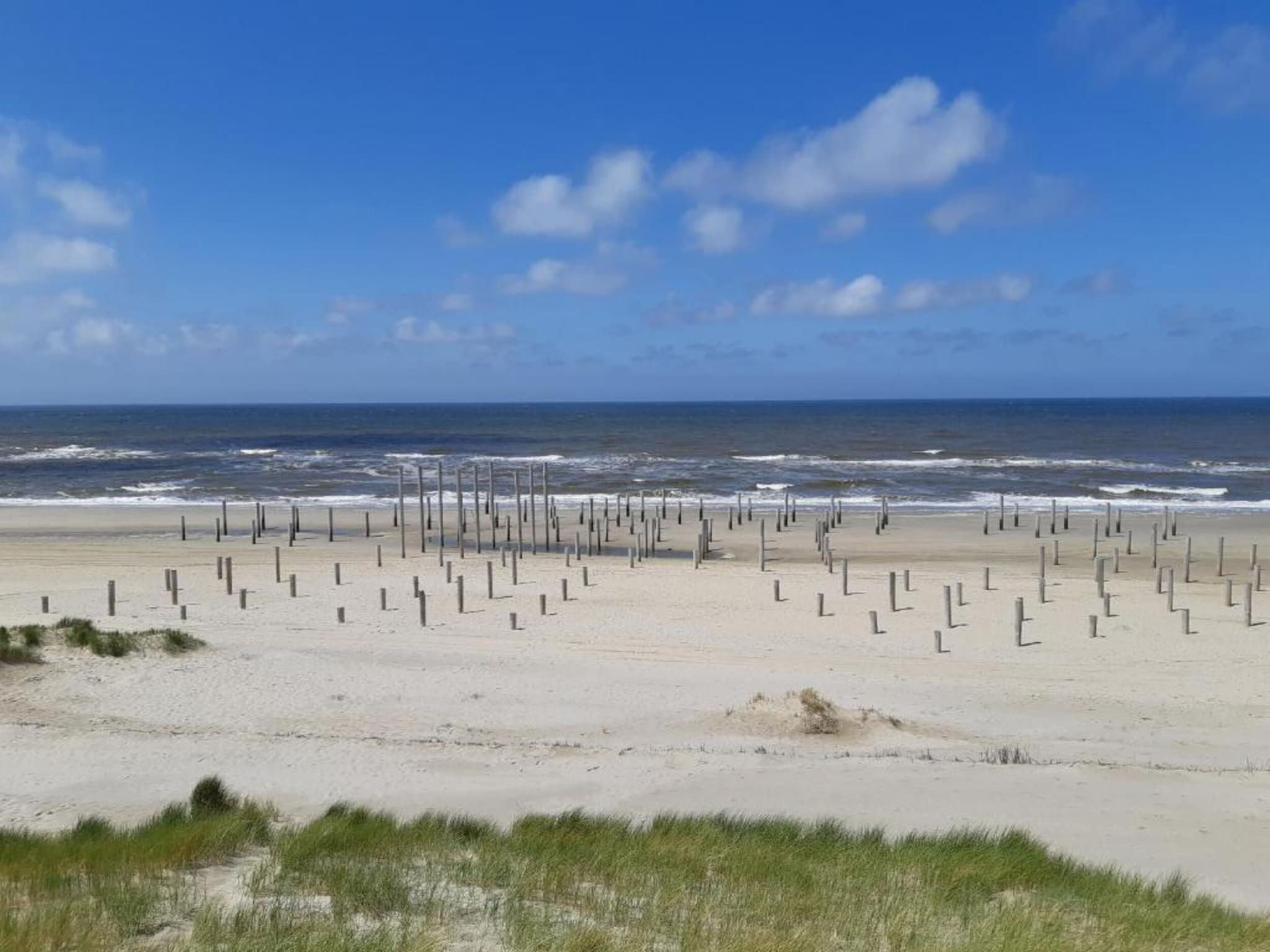 De omgeving van Beach 15-20 in Petten