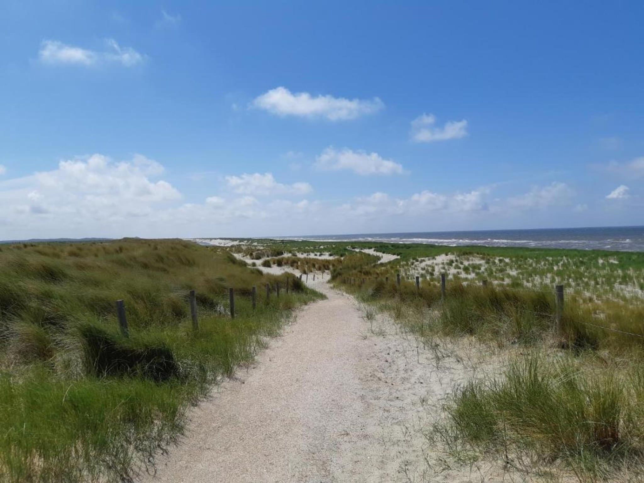 De omgeving van Beach 15-20 in Petten
