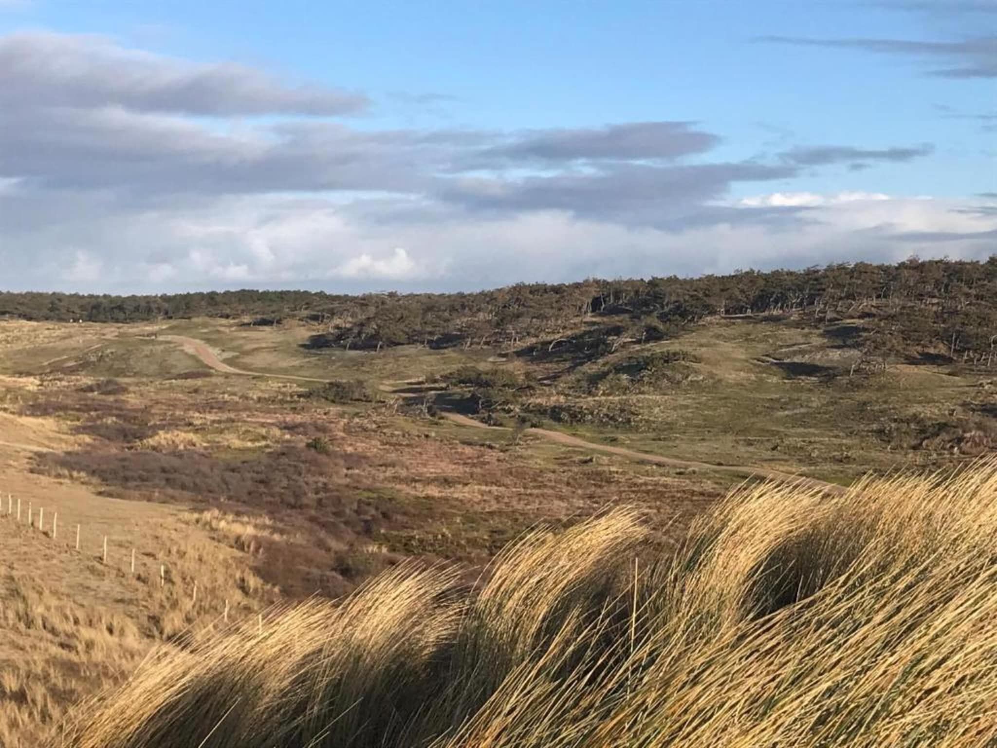 De omgeving van Beach 15-20 in Petten