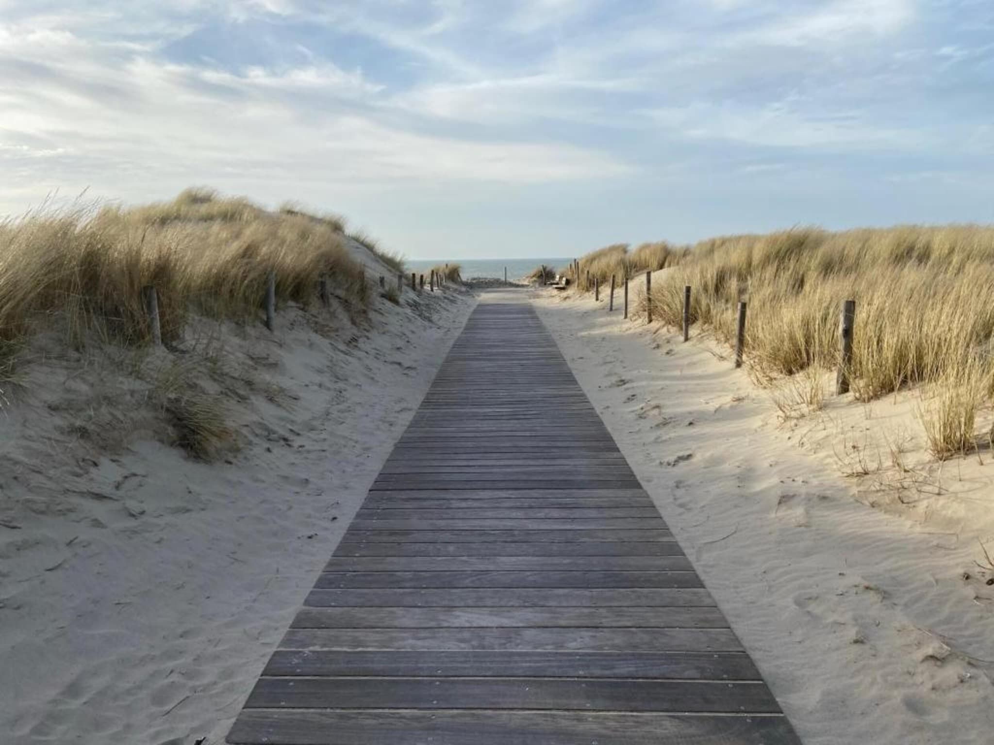De omgeving van Beach 15-20 in Petten