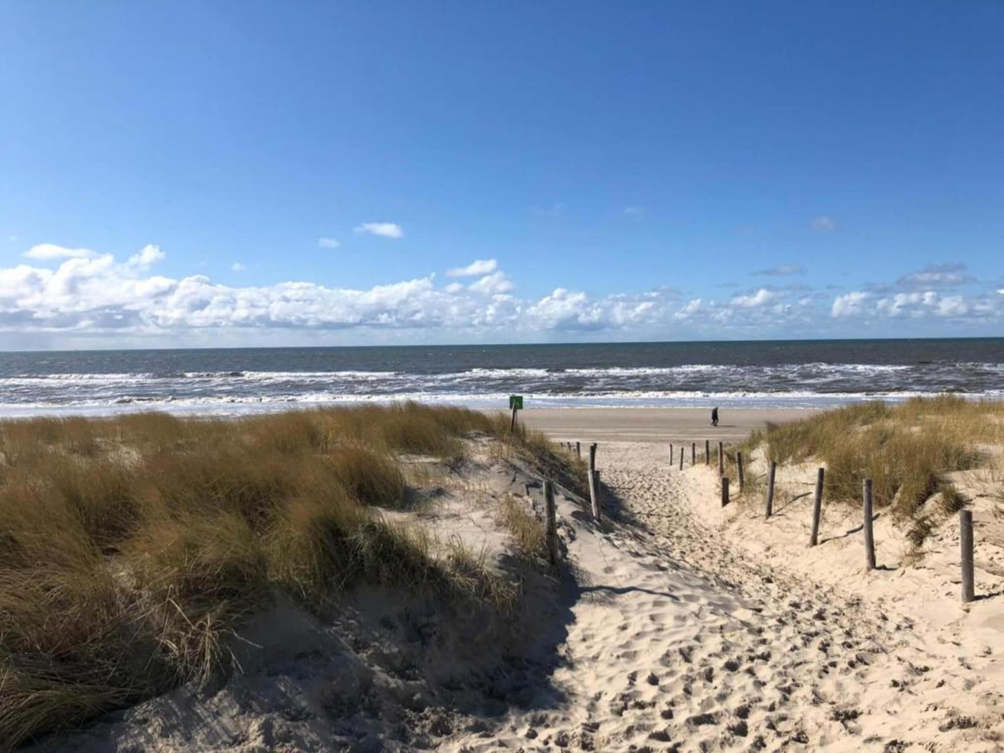 De omgeving van Beach 15-20 in Petten