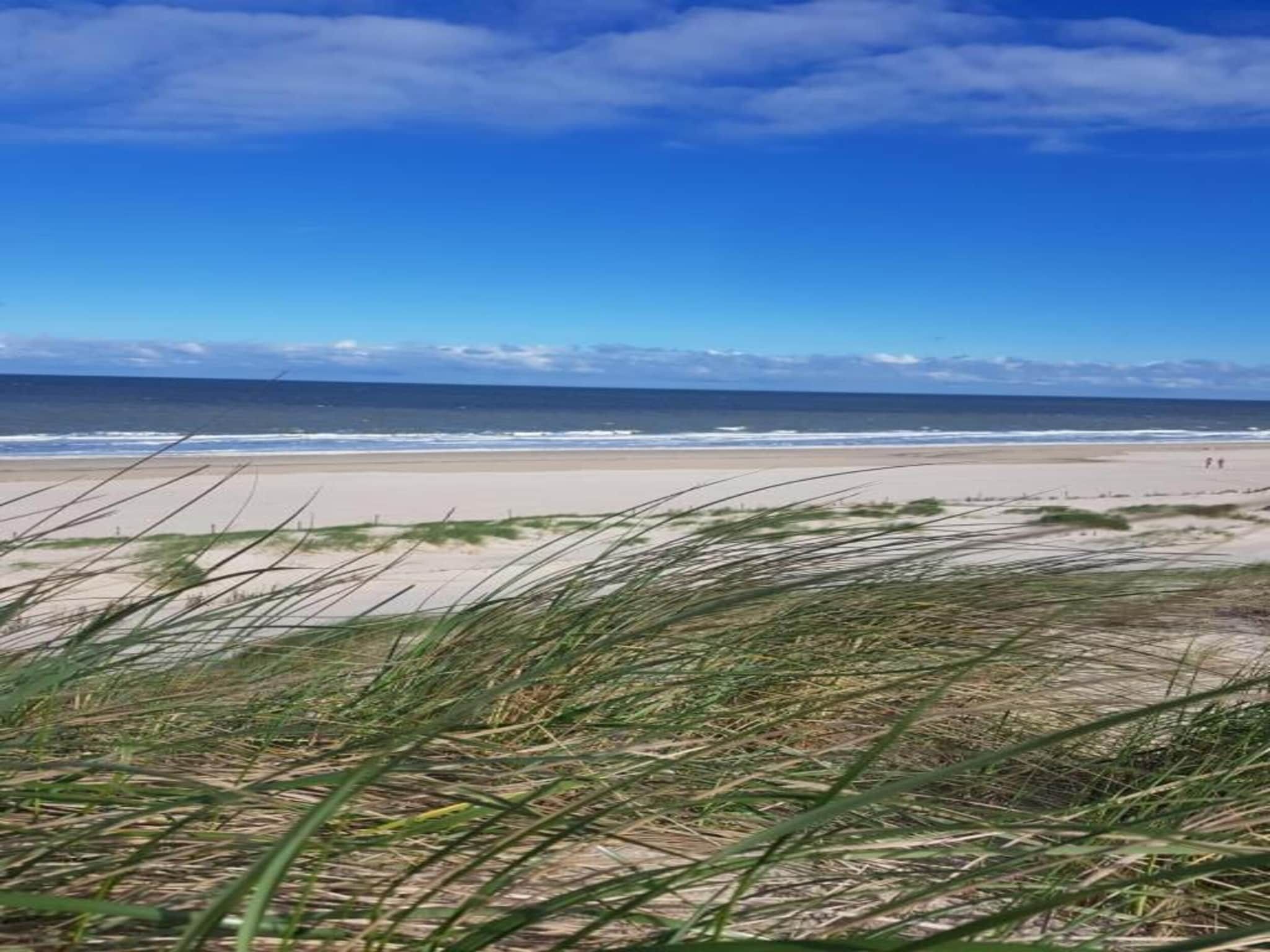 De omgeving van Beach 15-20 in Petten