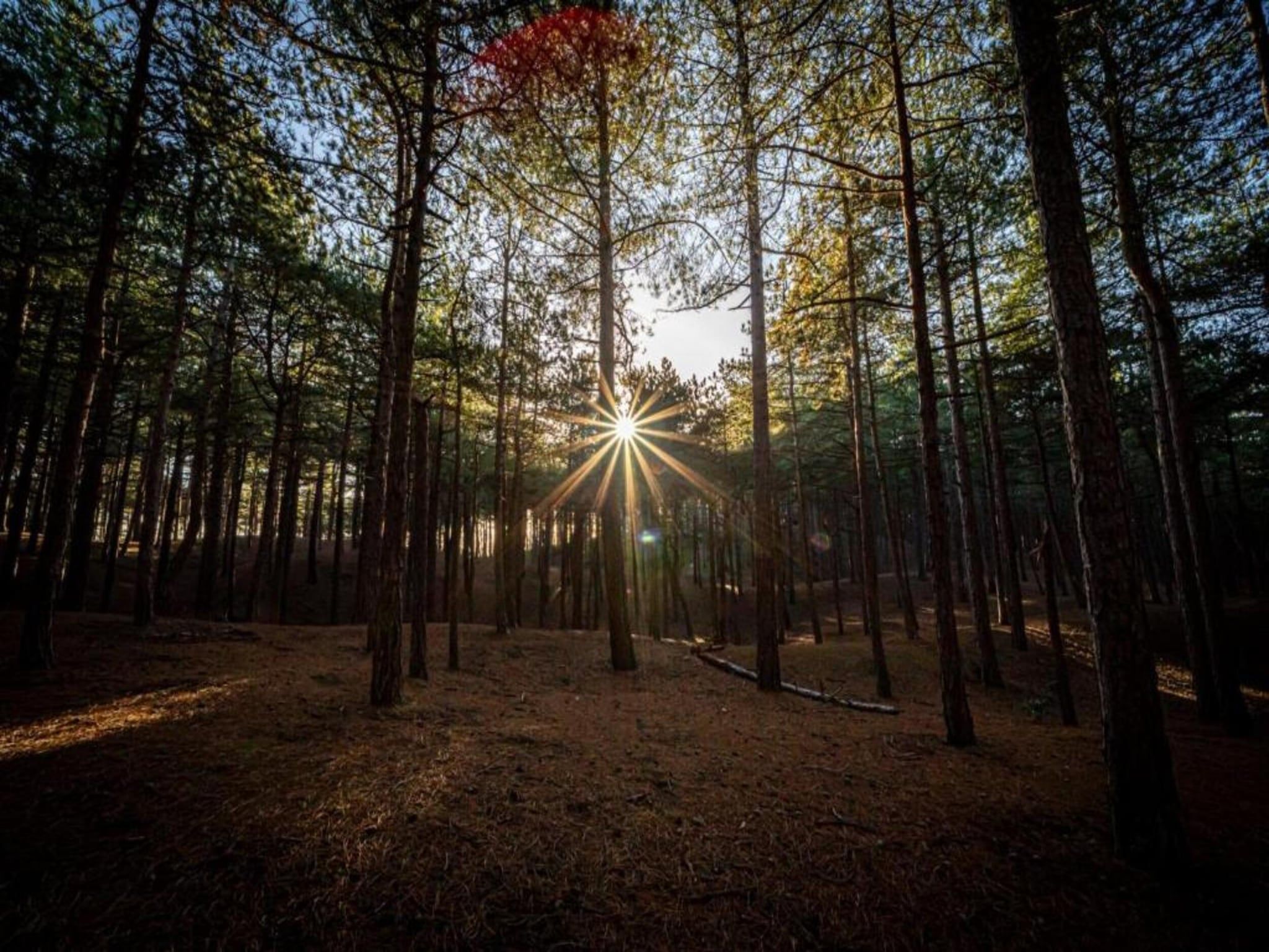 De omgeving van Beach 15-20 in Petten