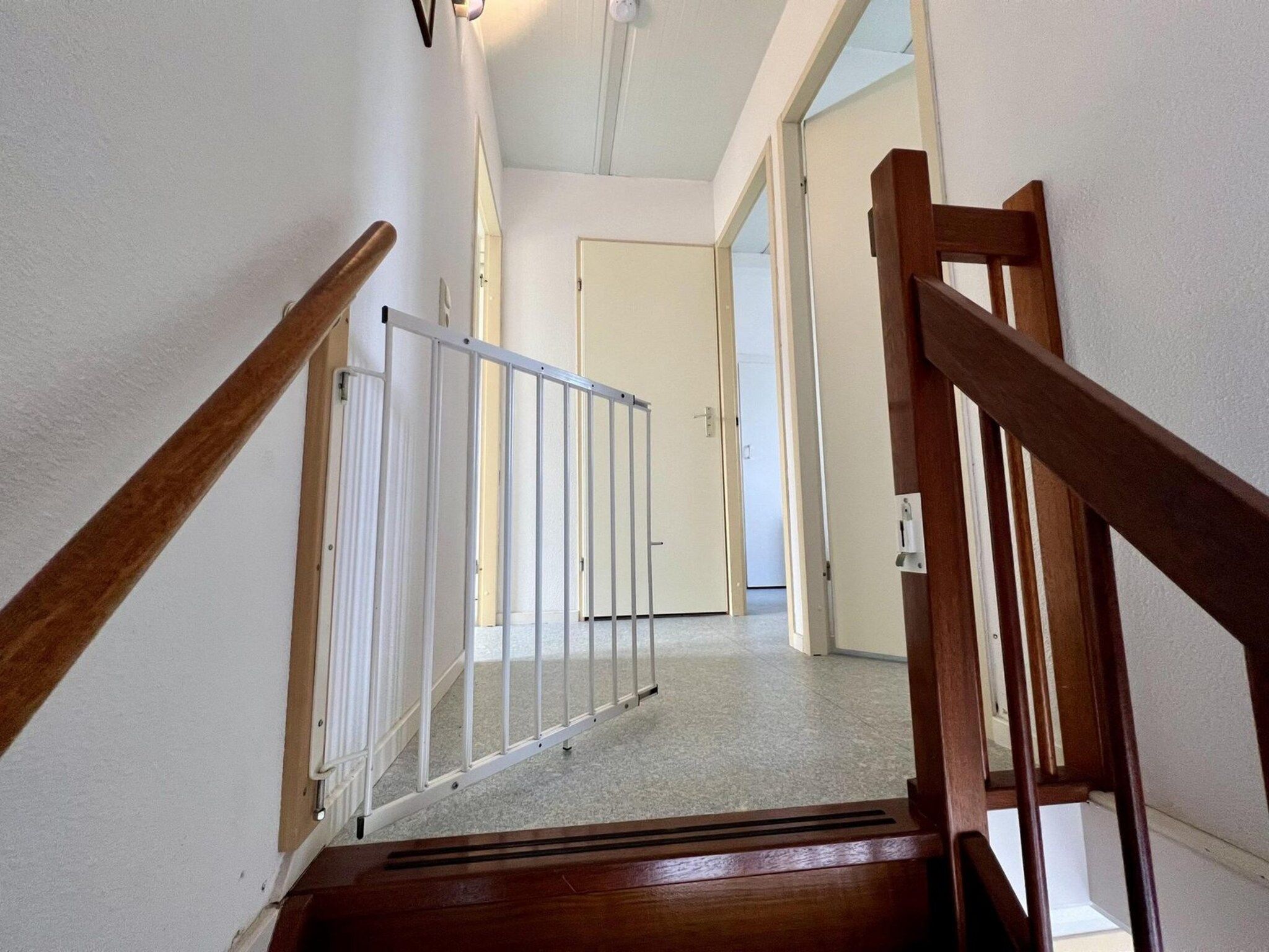 Sfeerbeeld van Campanula 55 in Sint Maartenszee