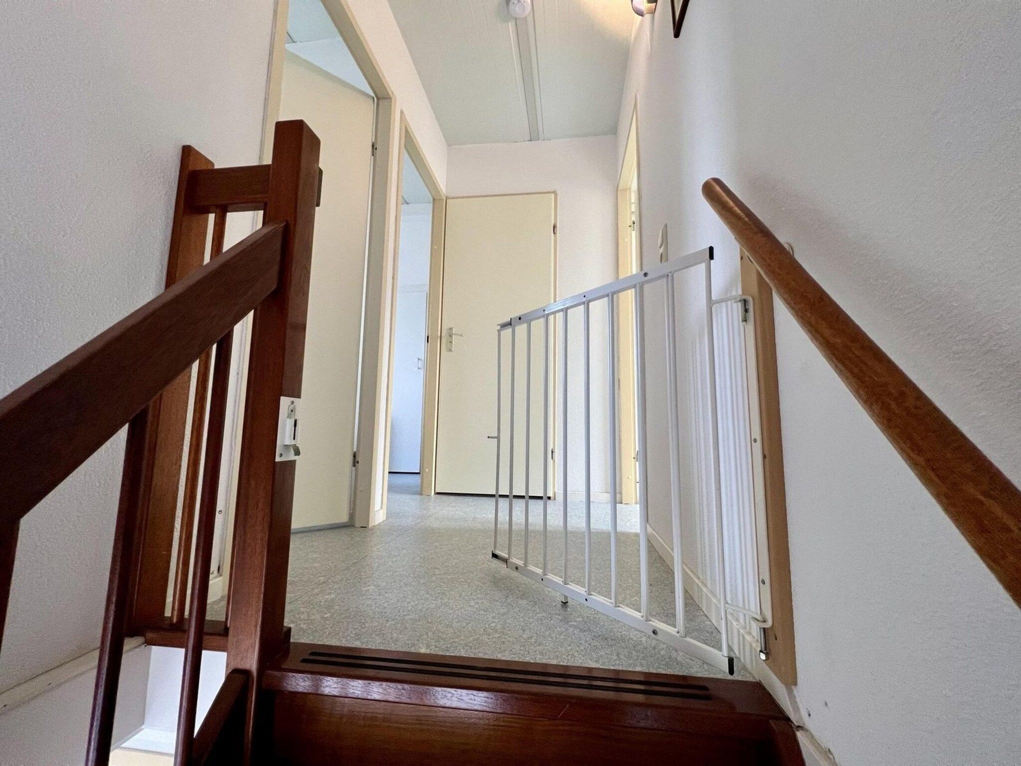 Campanula 55 in Sint Maartenszee - Foto 25 van 30