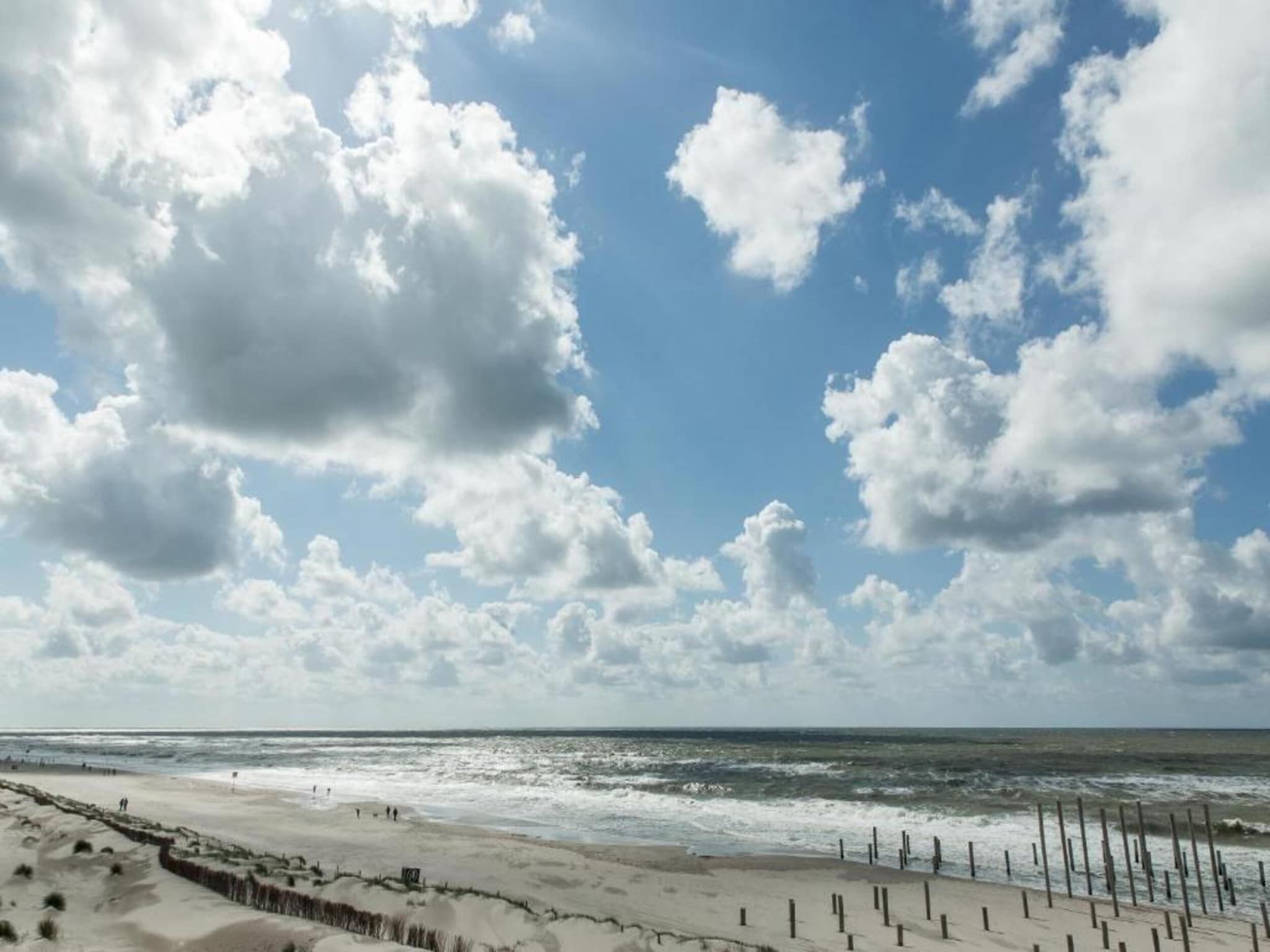 De omgeving van Anzelhoef Apartment Oost in Sint Maartenszee