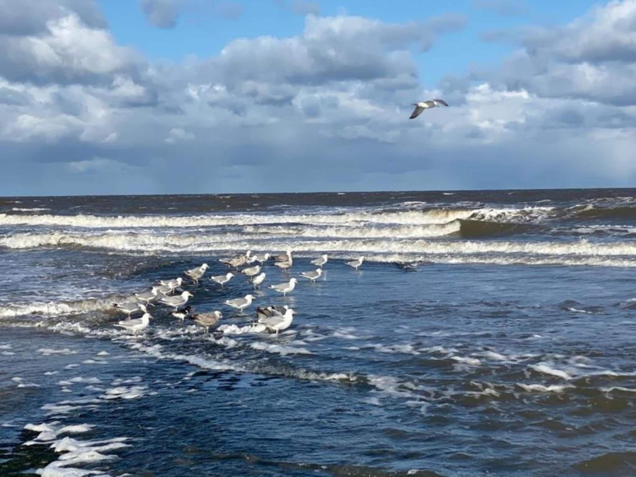 De omgeving van Anzelhoef apartment West in Sint Maartenszee