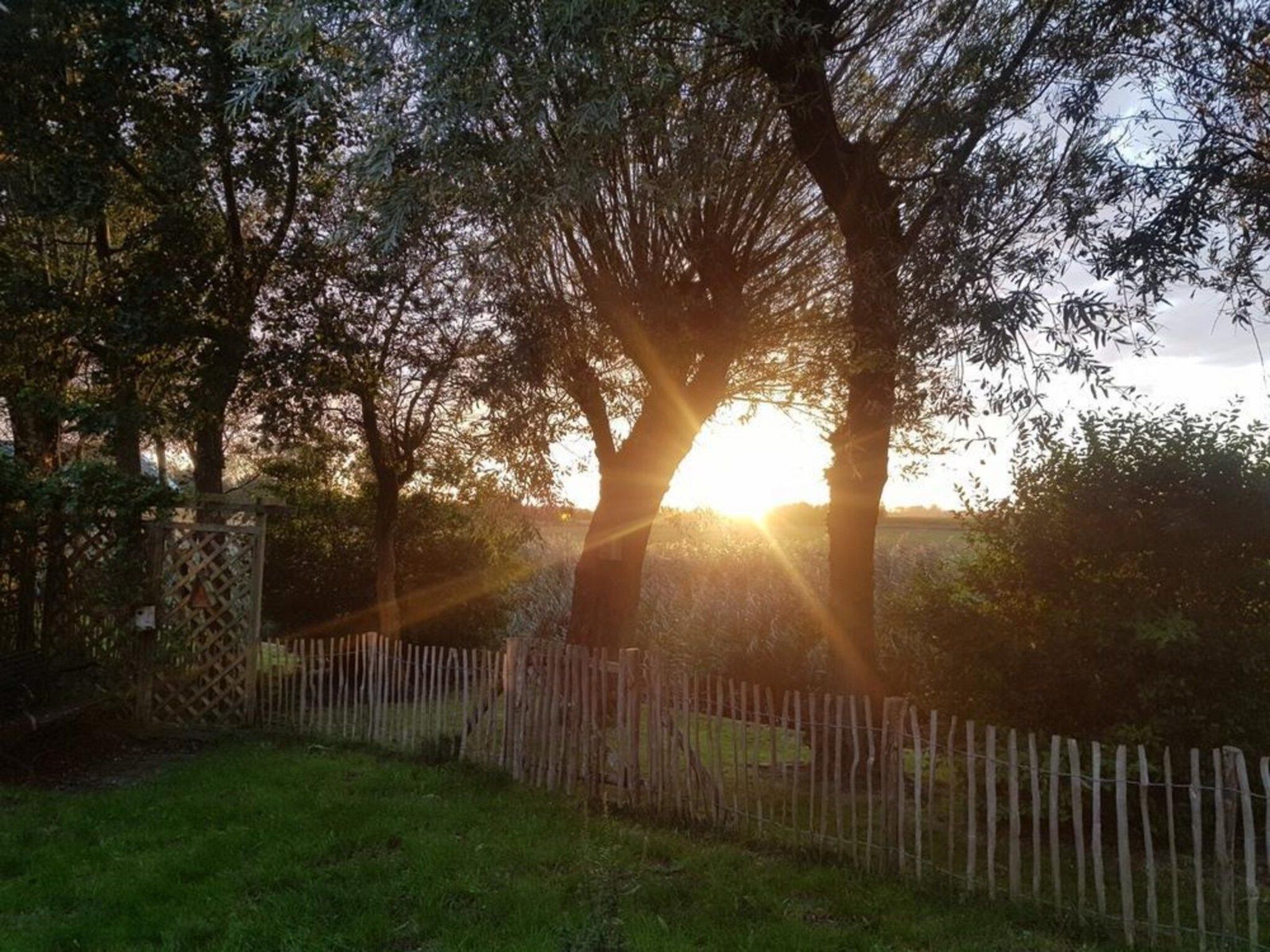 Vogelvrij 5 in Burgerbrug - Foto 16 van 25