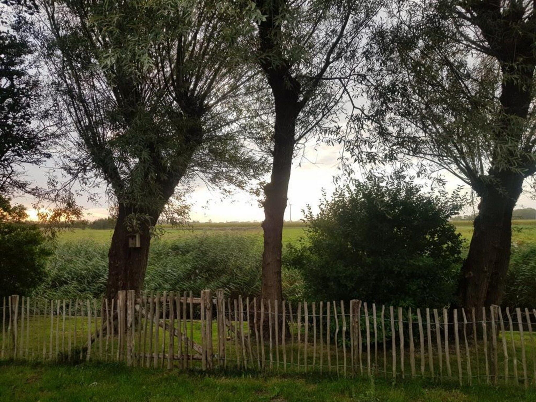Vogelvrij 5 in Burgerbrug - Foto 5 van 25