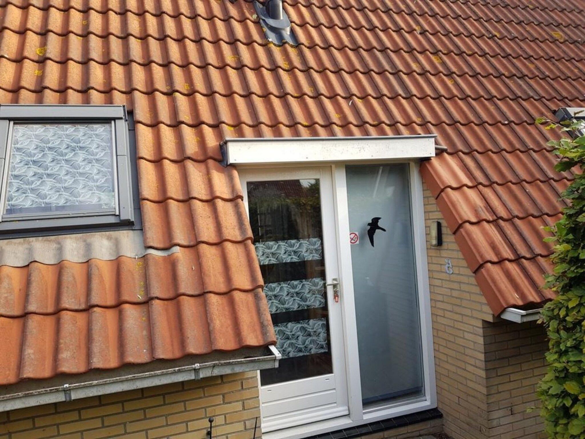 Een slaapkamer van Vogelvrij 5 in Burgerbrug